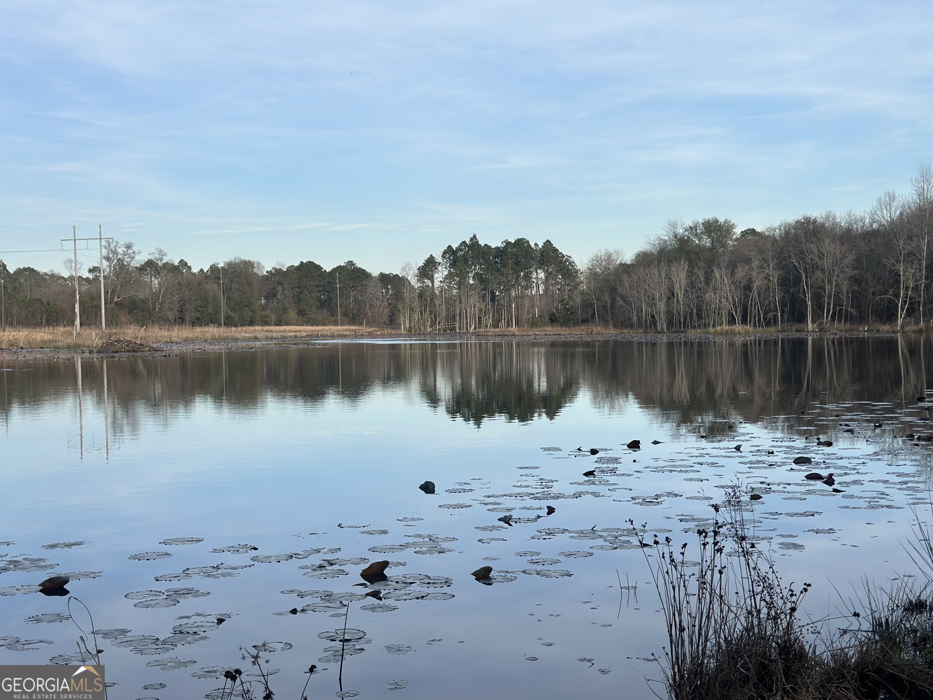 0 Airport Road Mcrae-helena GA 31037