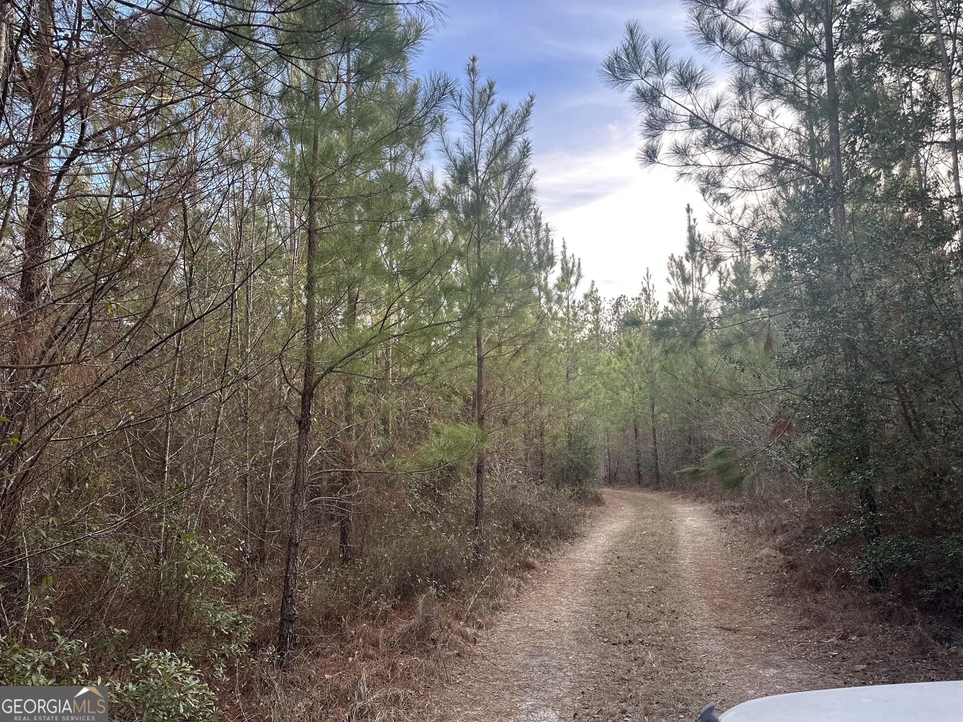 0 Airport Road Mcrae-helena GA 31037