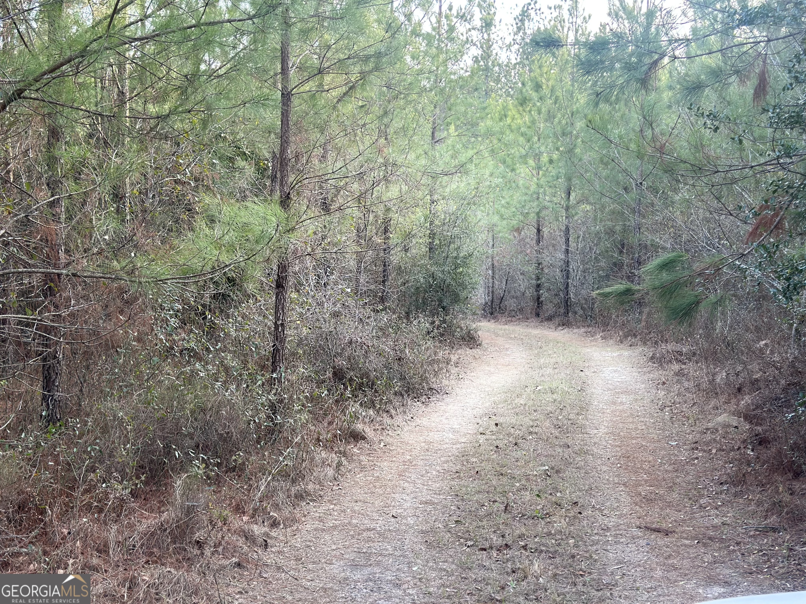 0 Airport Road Mcrae-helena GA 31037