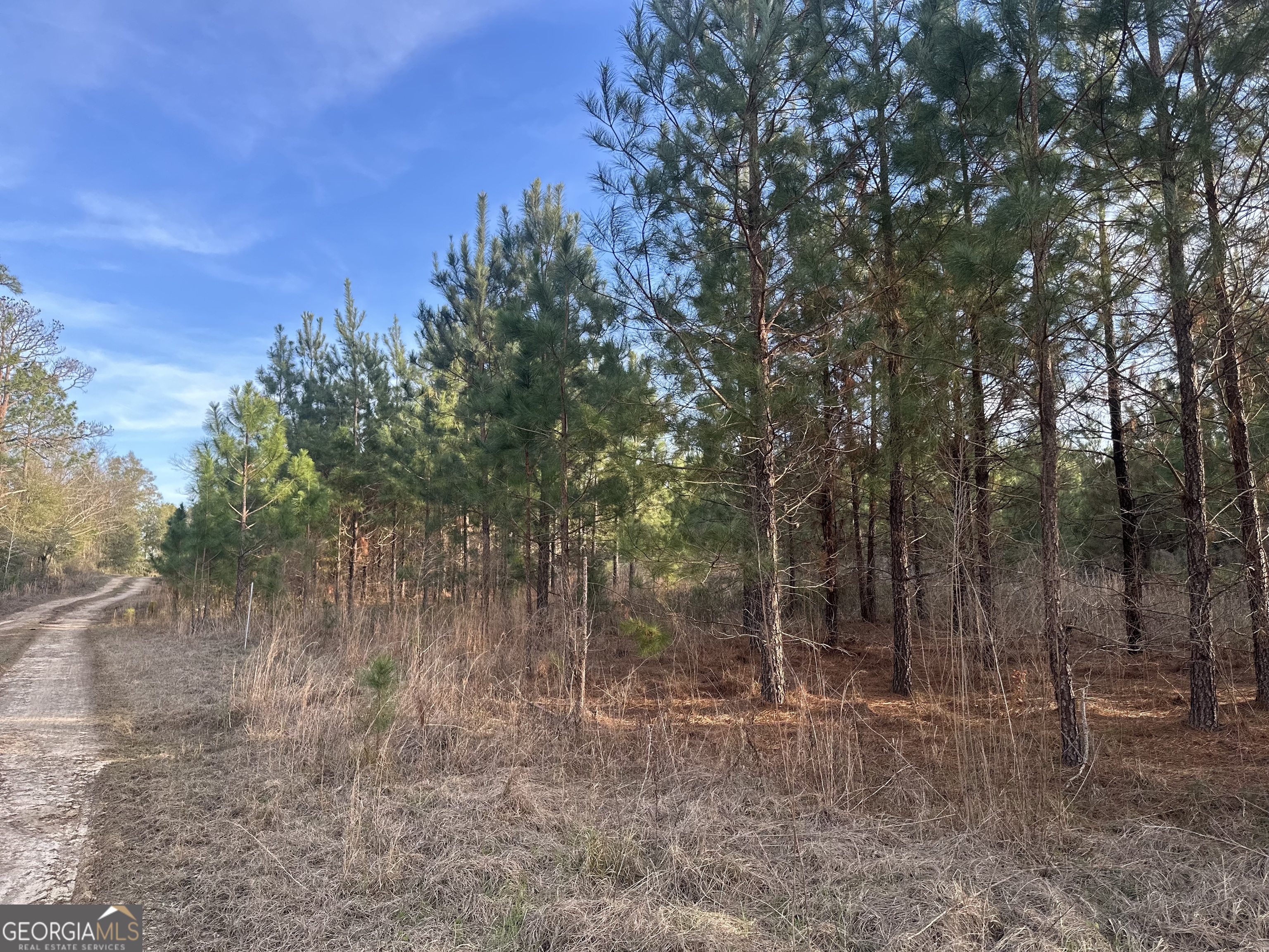 0 Airport Road Mcrae-helena GA 31037