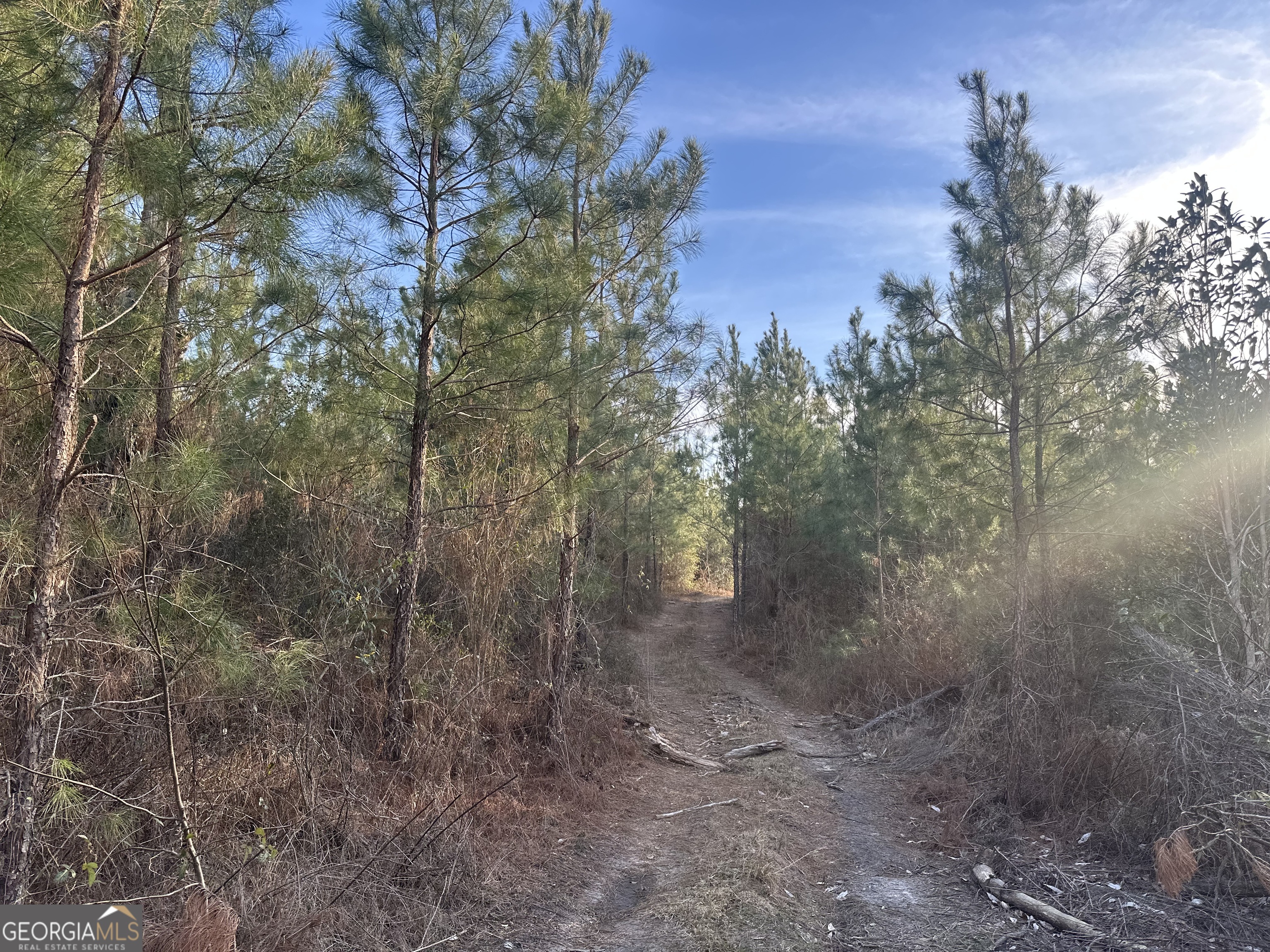 0 Airport Road Mcrae-helena GA 31037