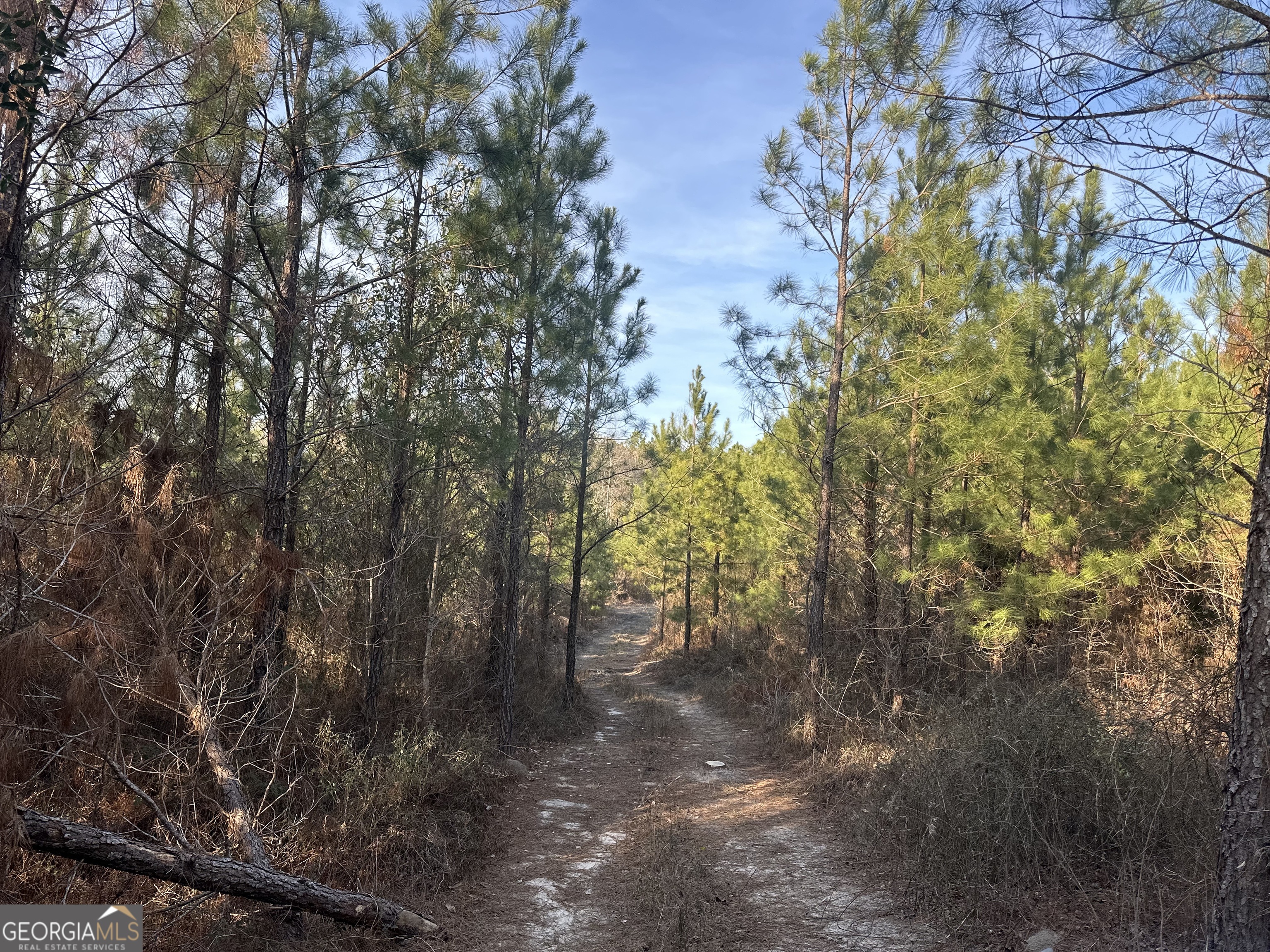 0 Airport Road Mcrae-helena GA 31037