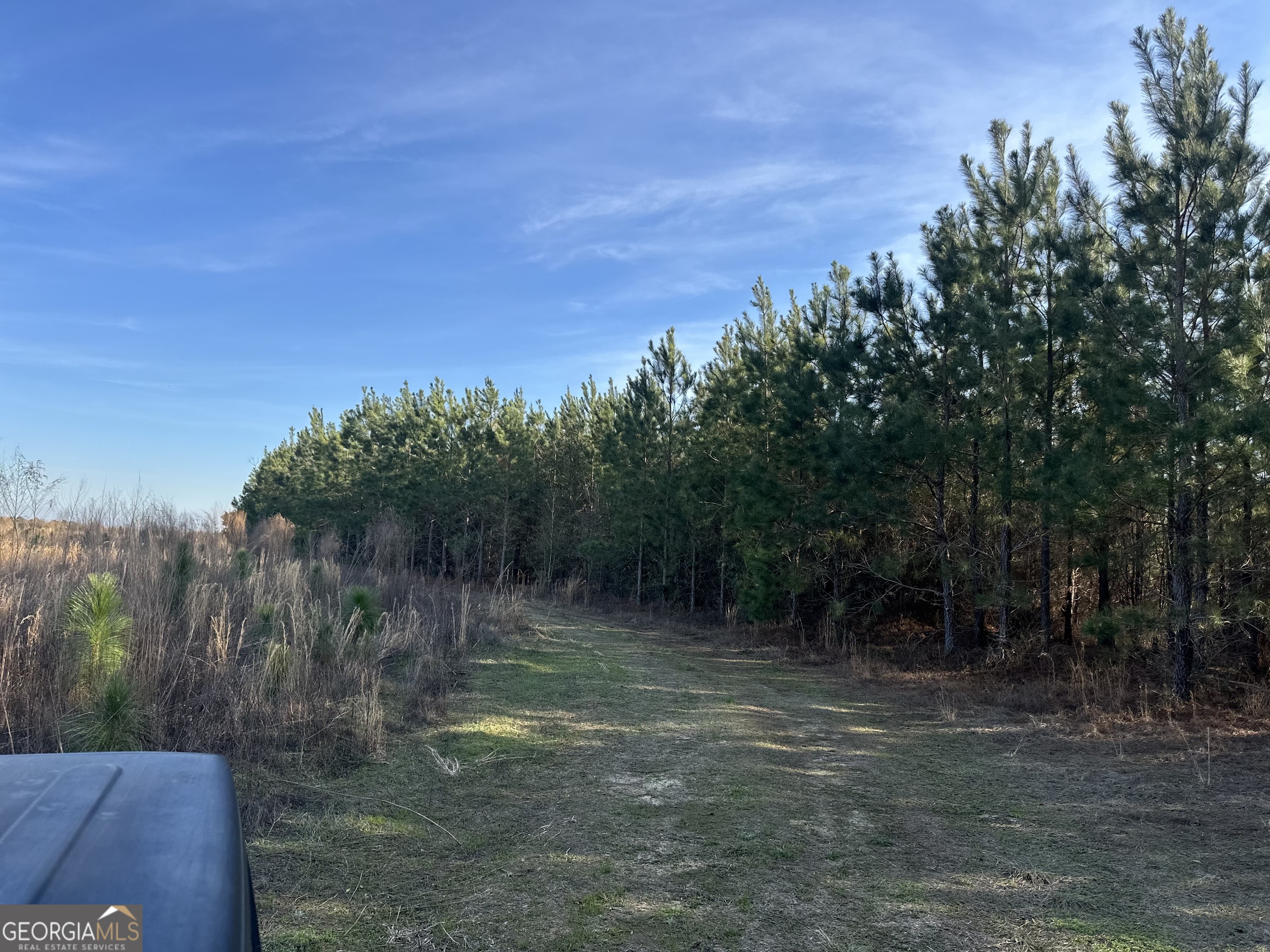 0 Airport Road Mcrae-helena GA 31037