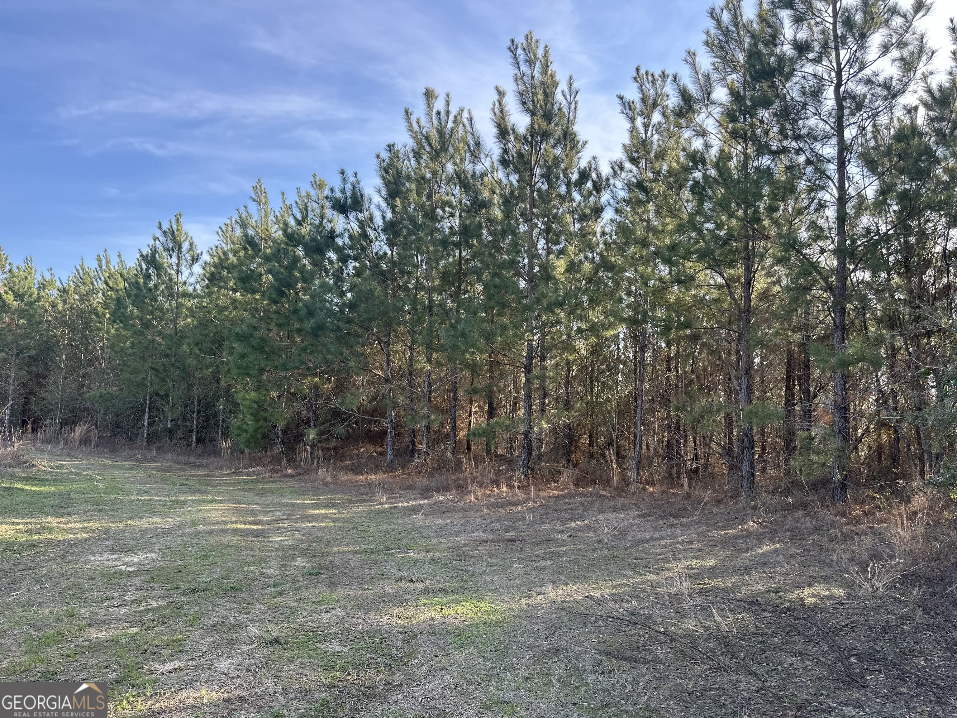 0 Airport Road Mcrae-helena GA 31037