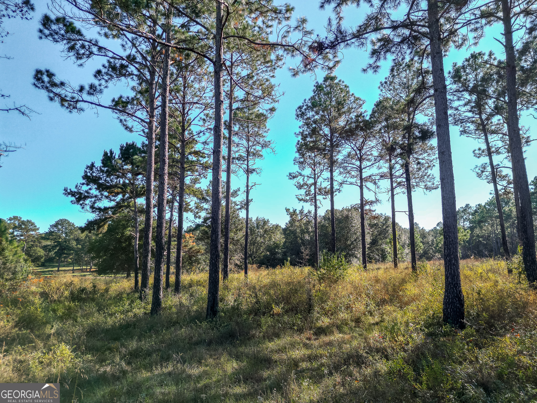 0 New York Road Leesburg GA 31763