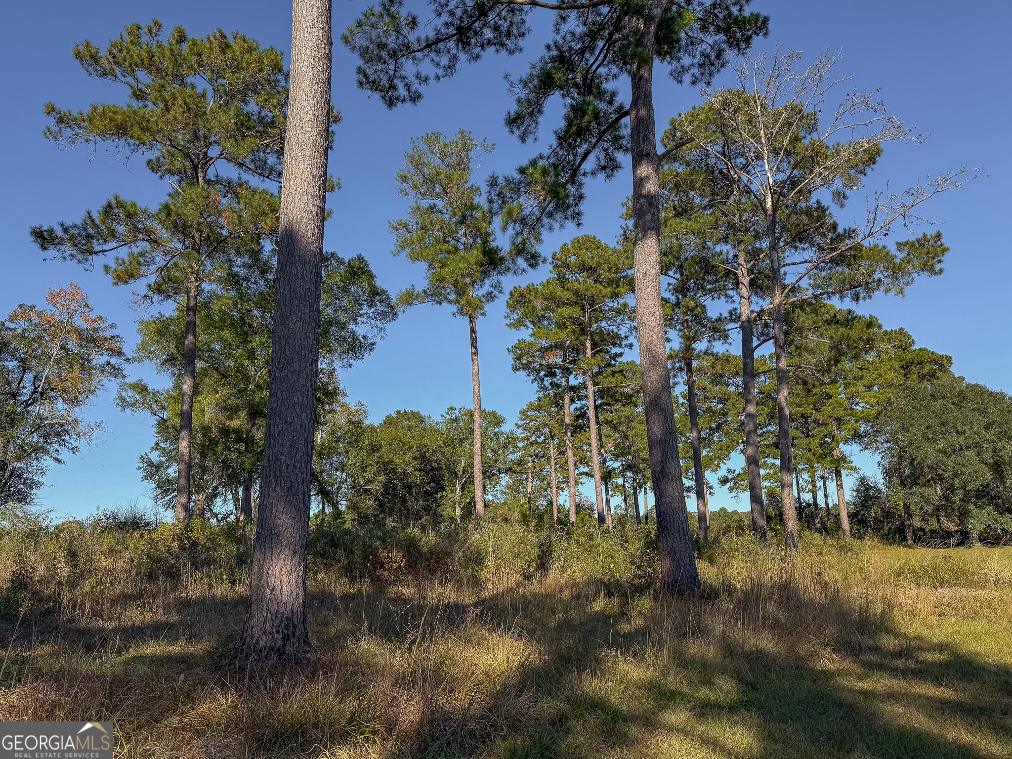 0 New York Road Leesburg GA 31763