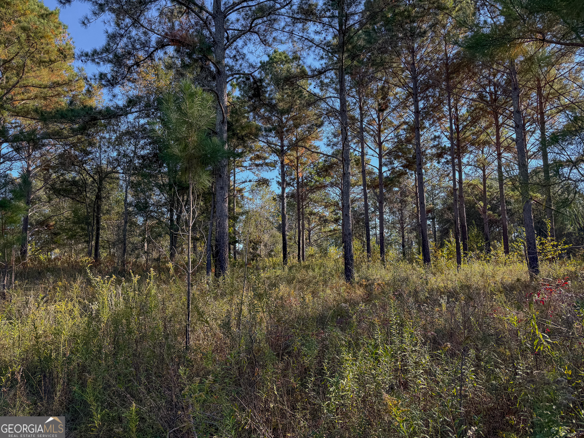 0 New York Road Leesburg GA 31763