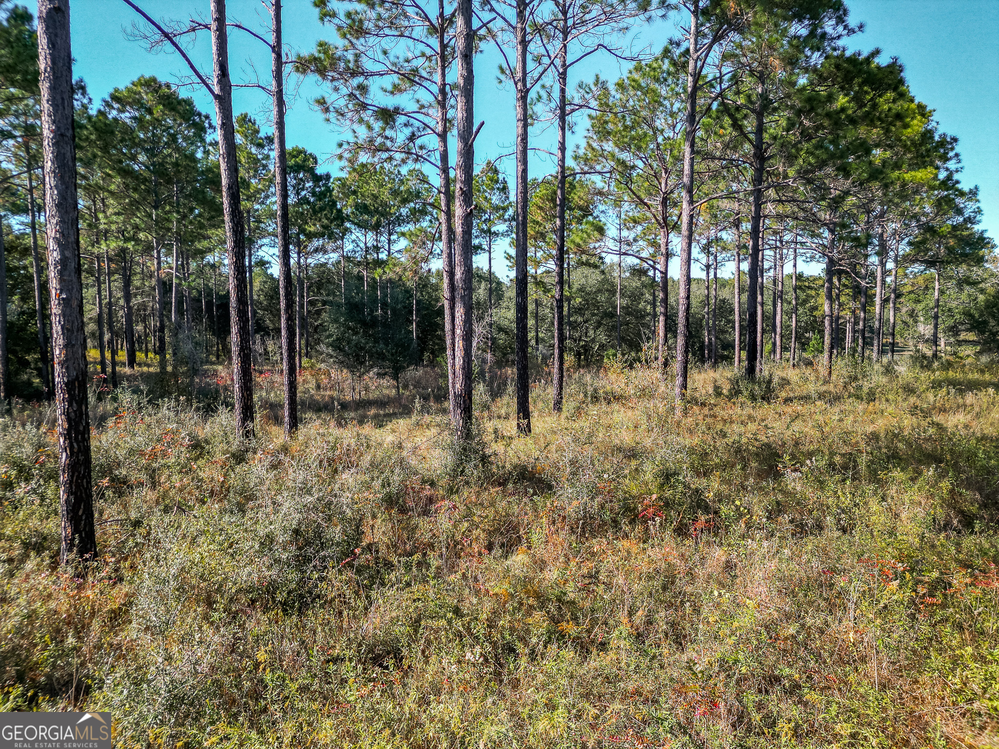 0 New York Road Leesburg GA 31763