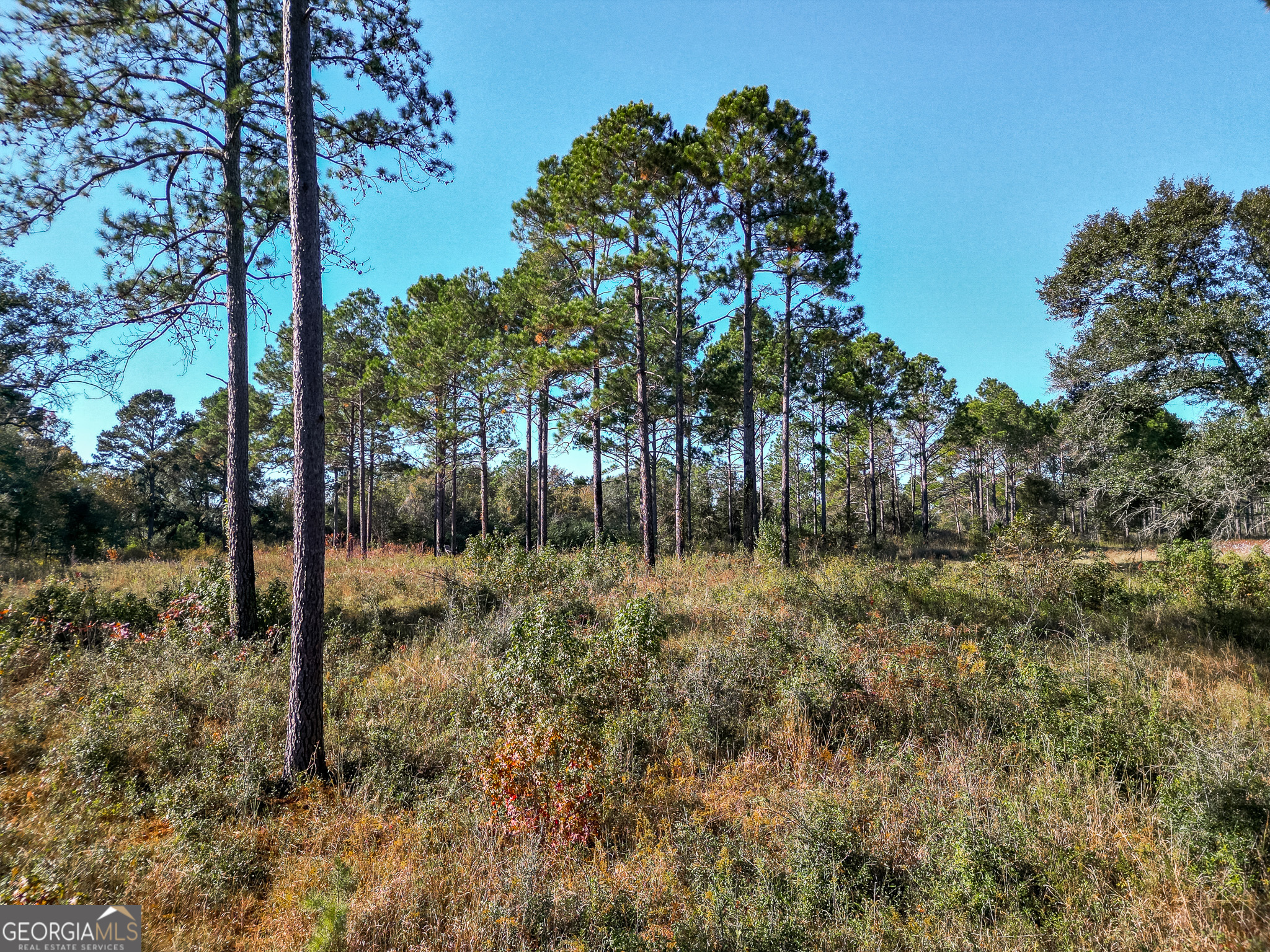 0 New York Road Leesburg GA 31763