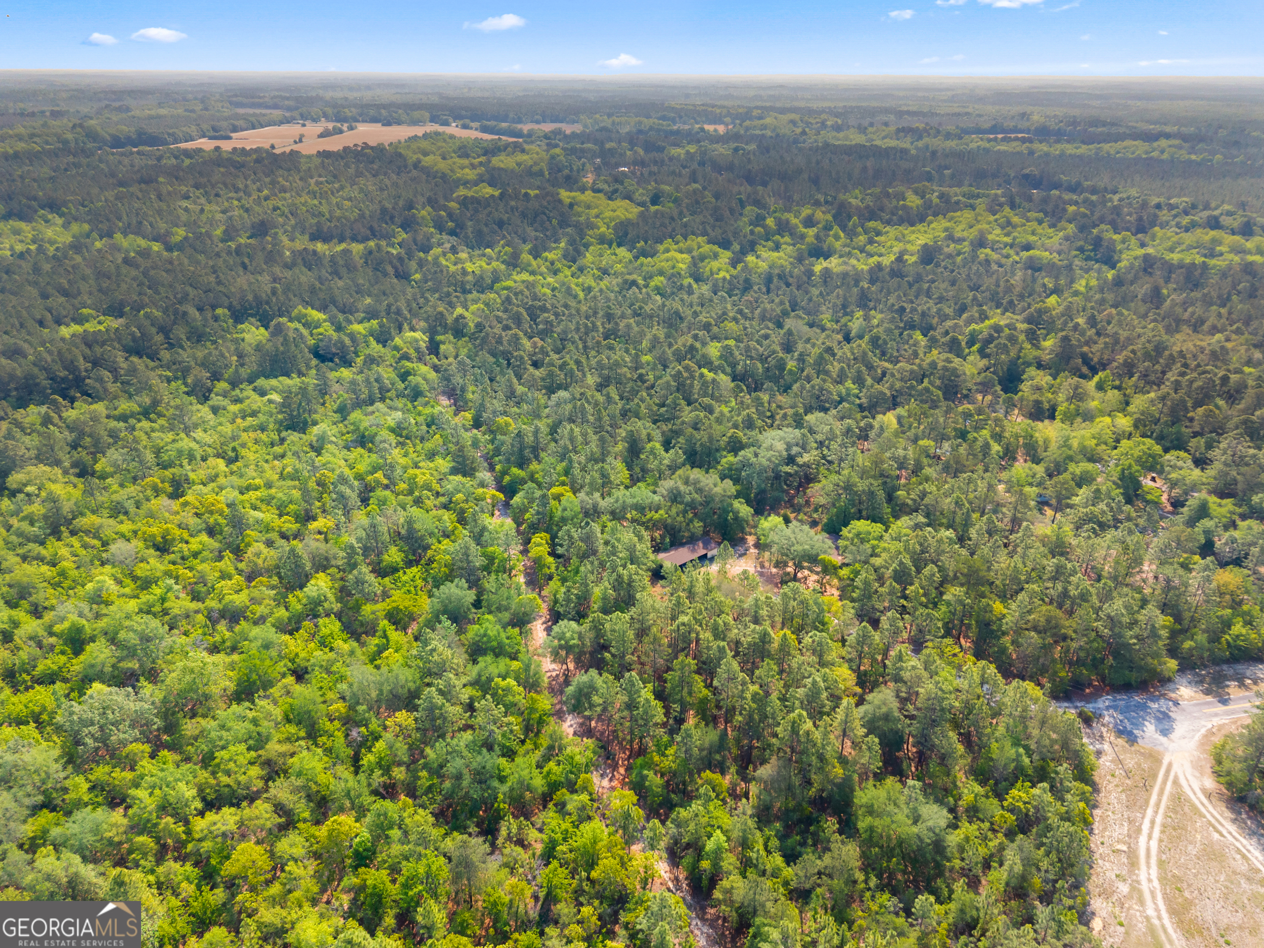 320 Sunset Road Nevils GA 31321
