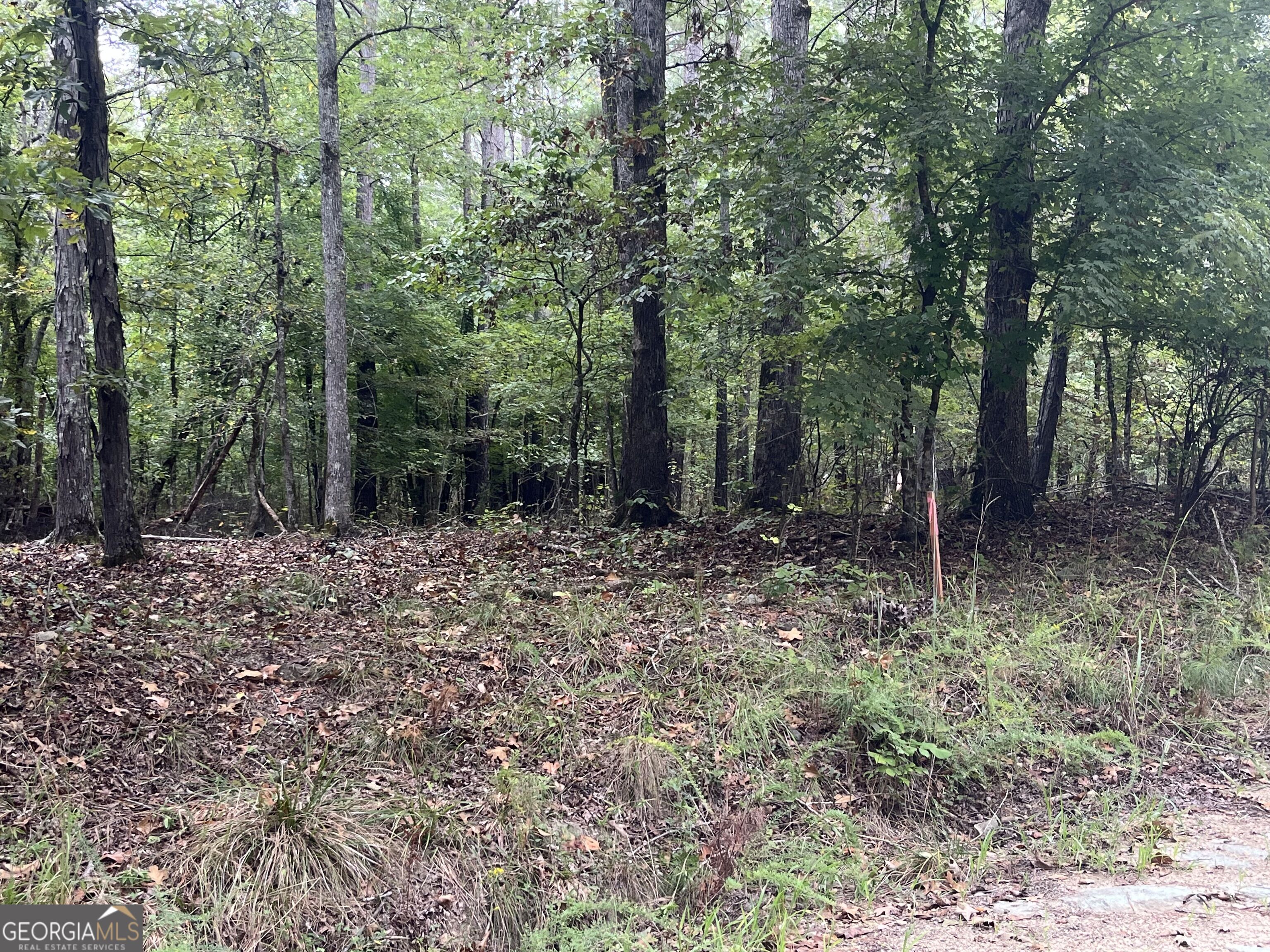 0 Vinson Road Tignall GA 30668