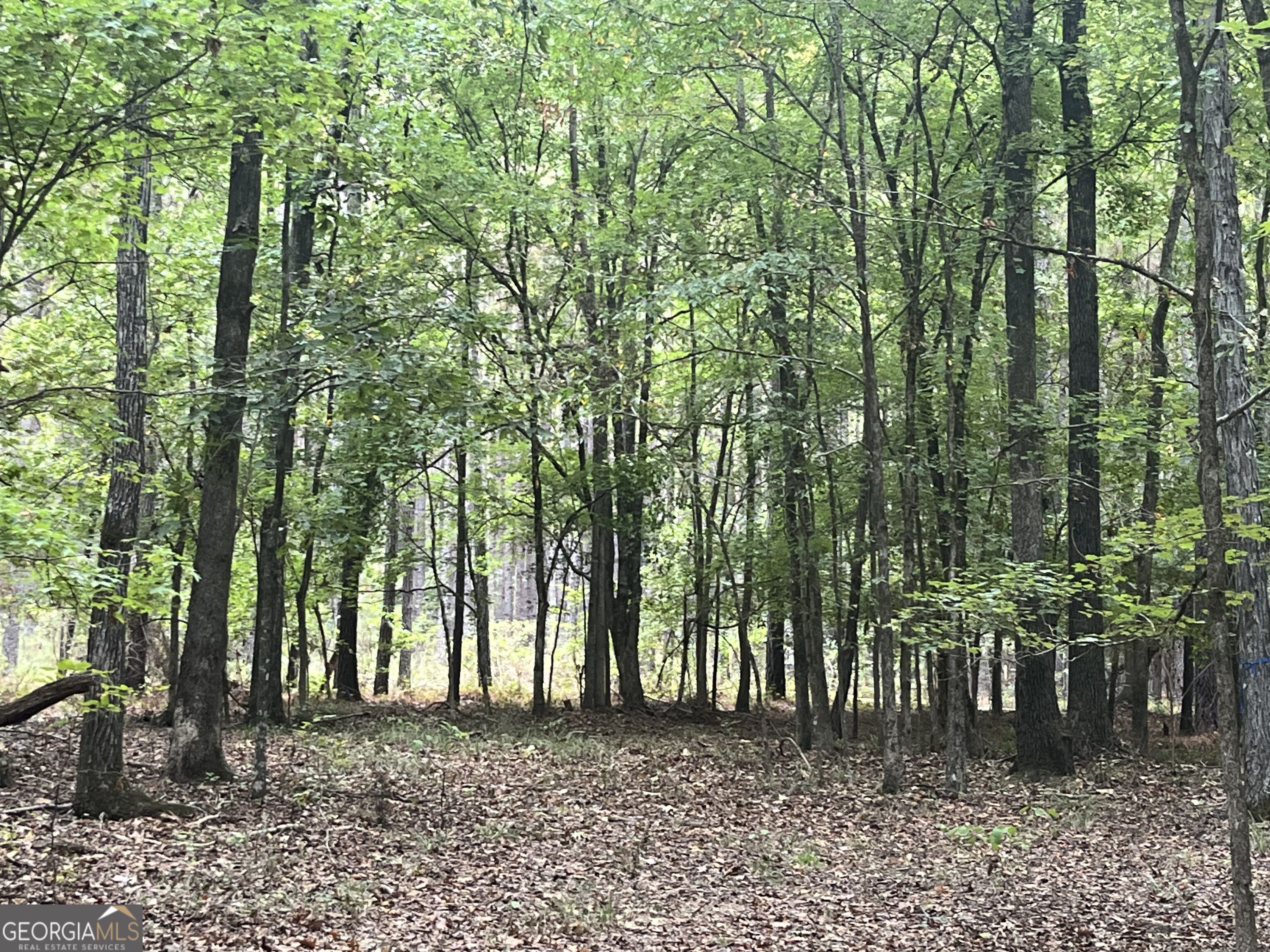 0 Vinson Road Tignall GA 30668