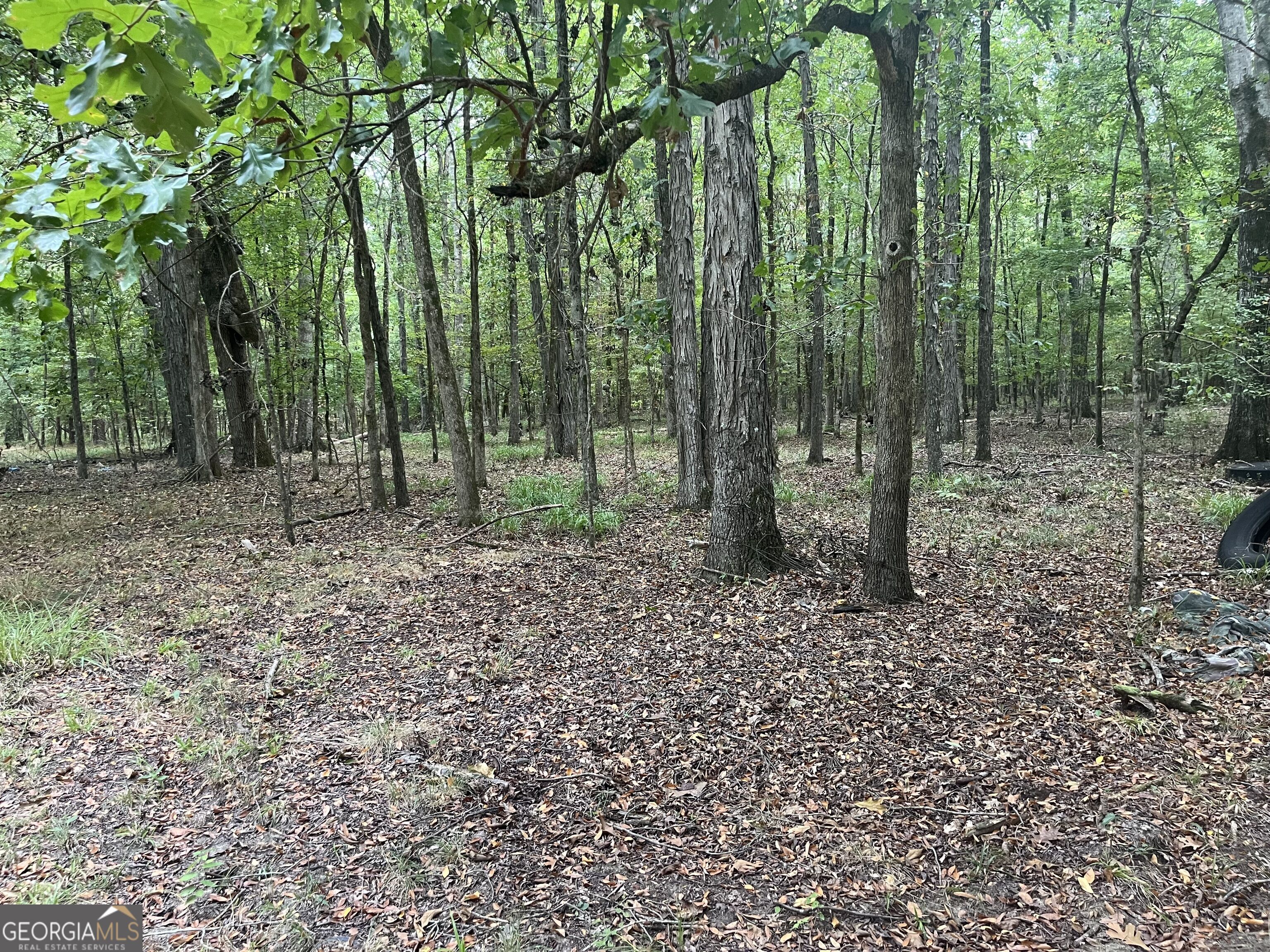0 Vinson Road Tignall GA 30668