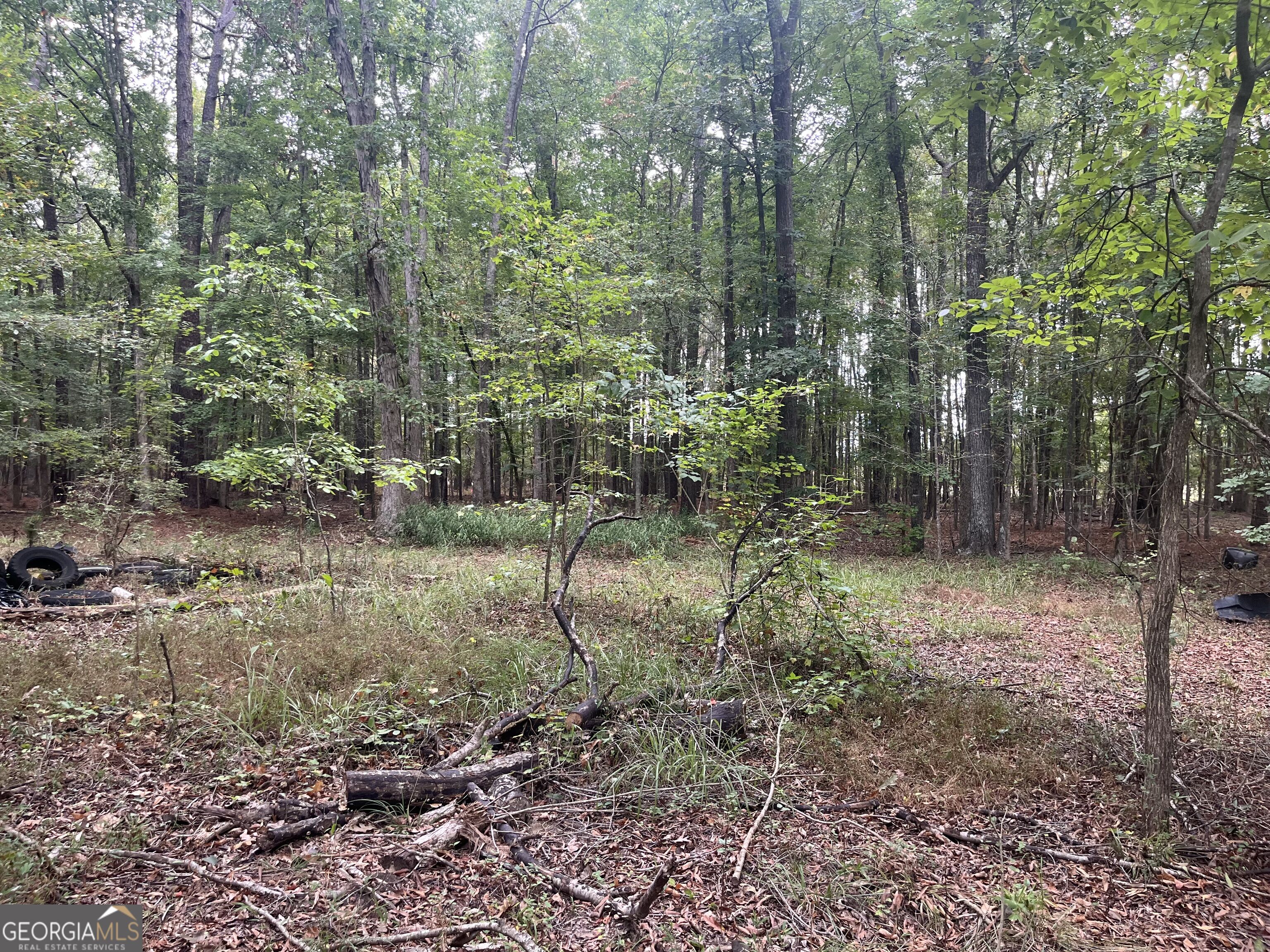 0 Vinson Road Tignall GA 30668