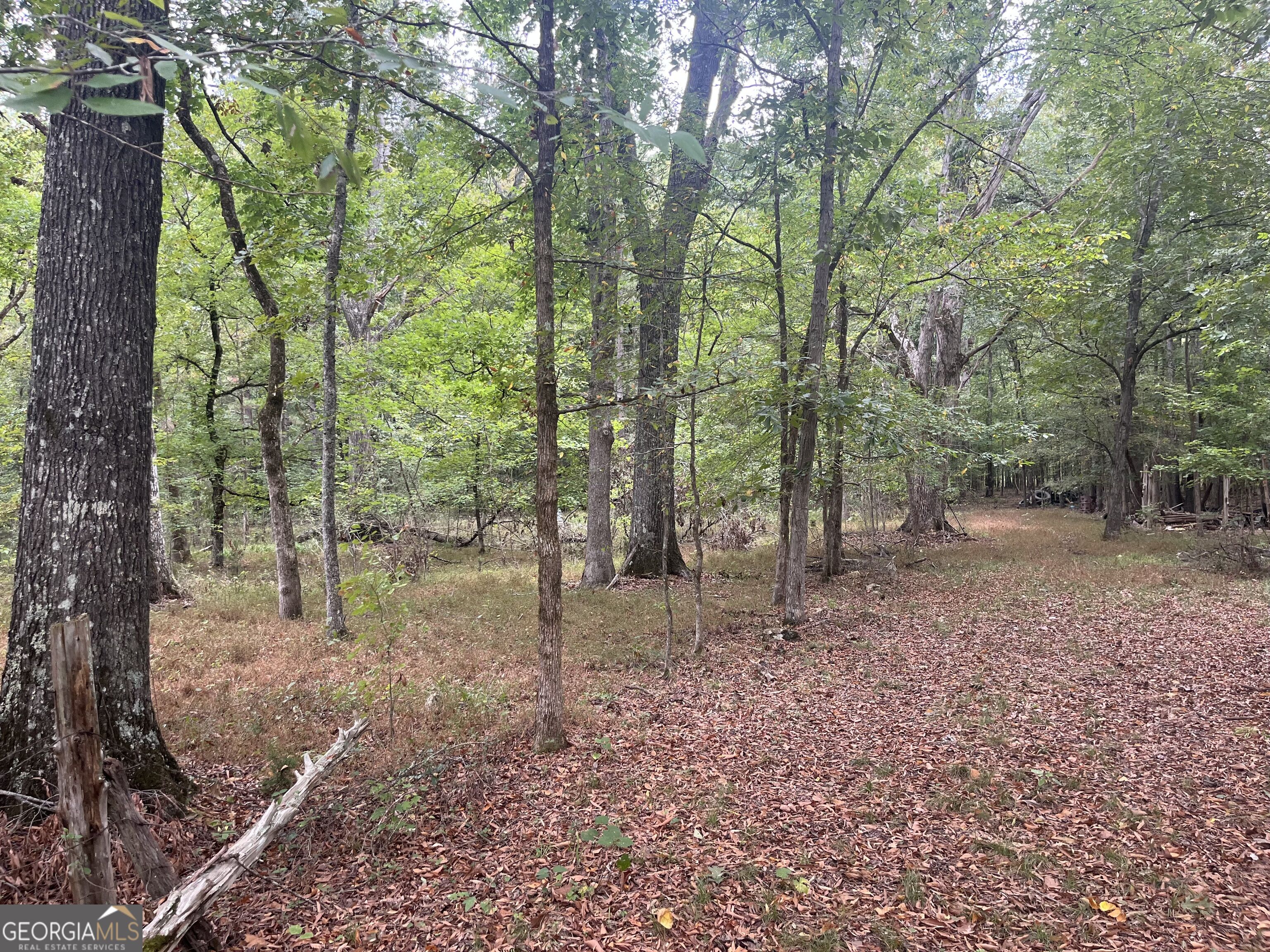 0 Vinson Road Tignall GA 30668