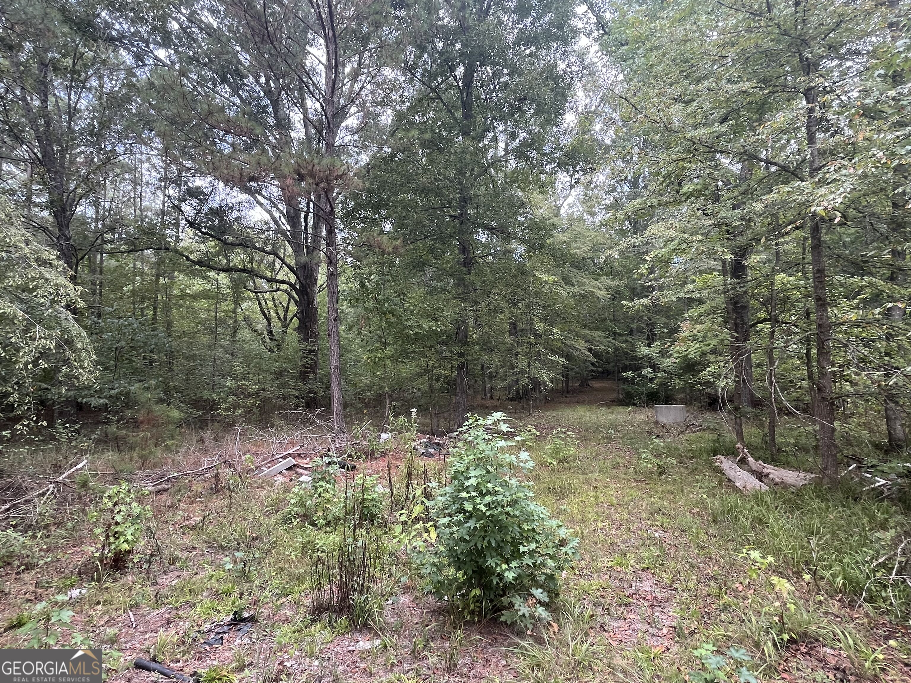 0 Vinson Road Tignall GA 30668
