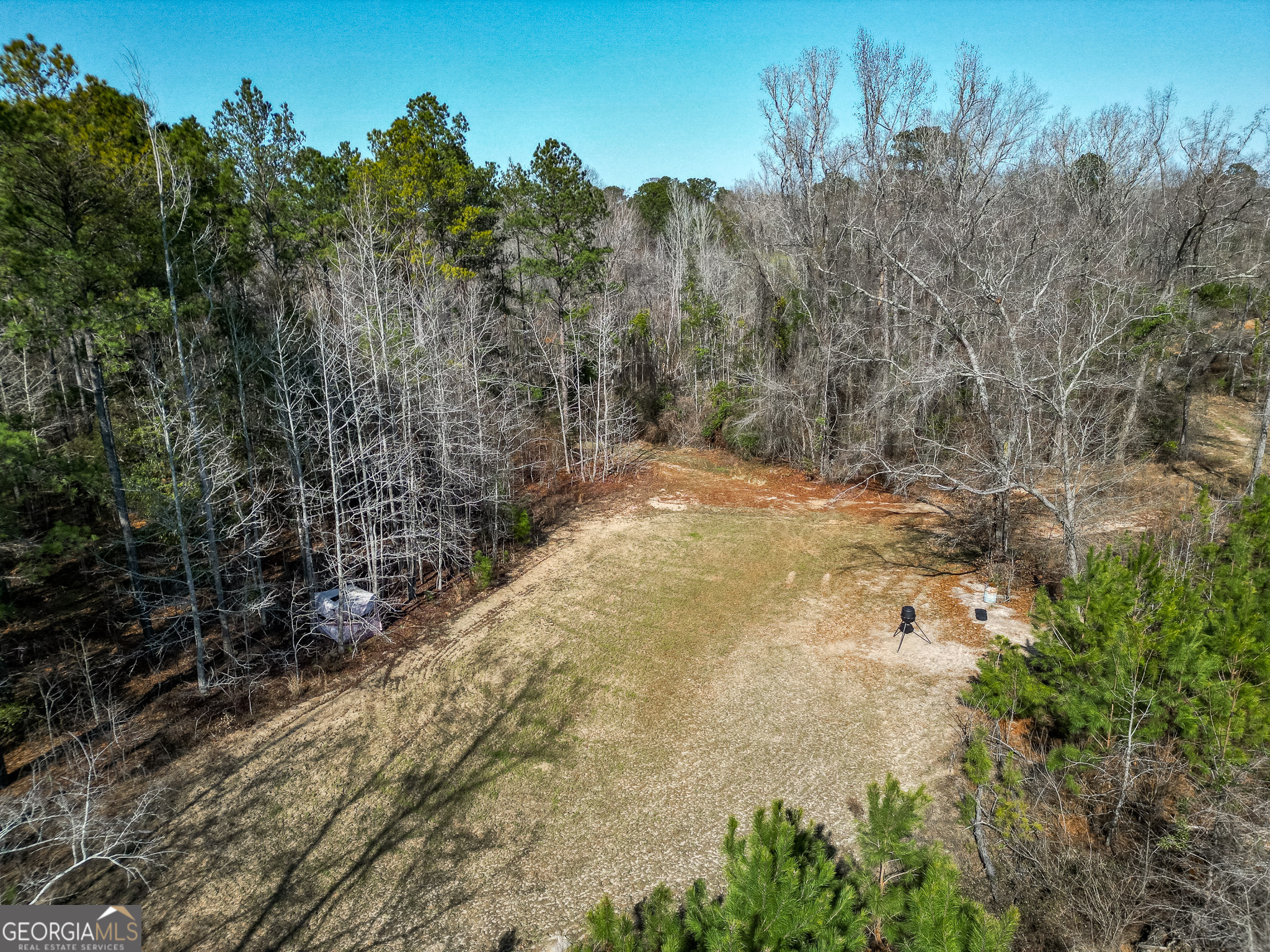 1298 Days Avenue Morris GA 39867