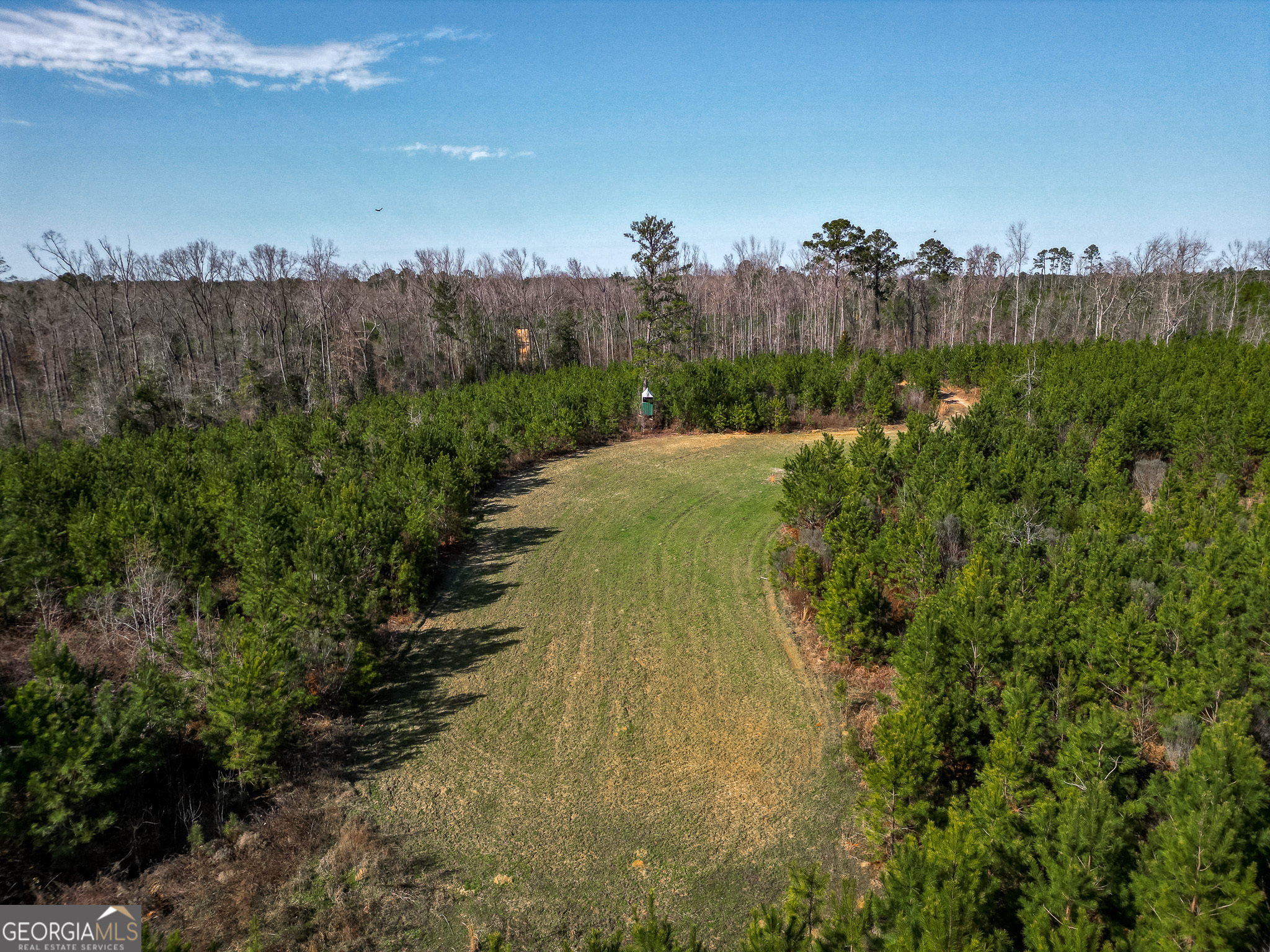 1298 Days Avenue Morris GA 39867