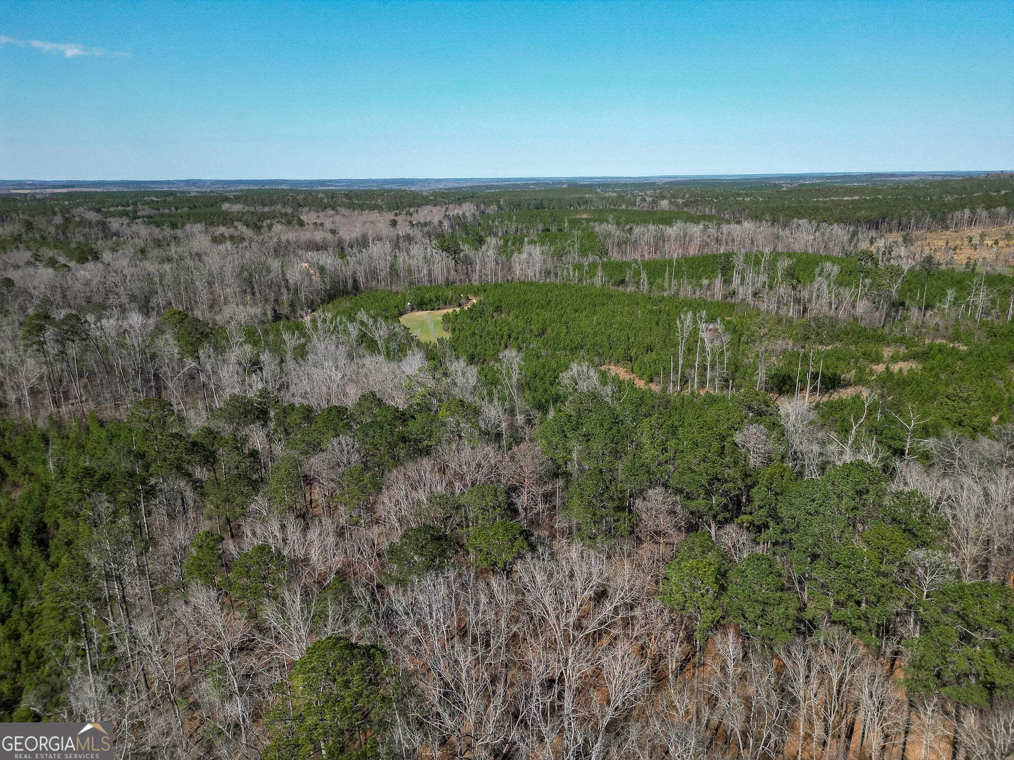 1298 Days Avenue Morris GA 39867