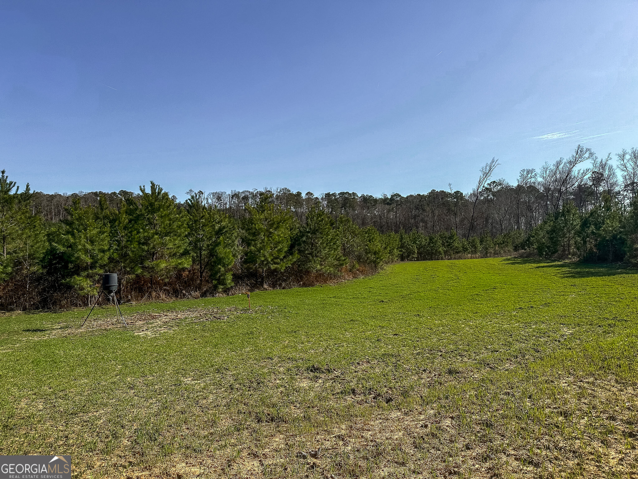1298 Days Avenue Morris GA 39867