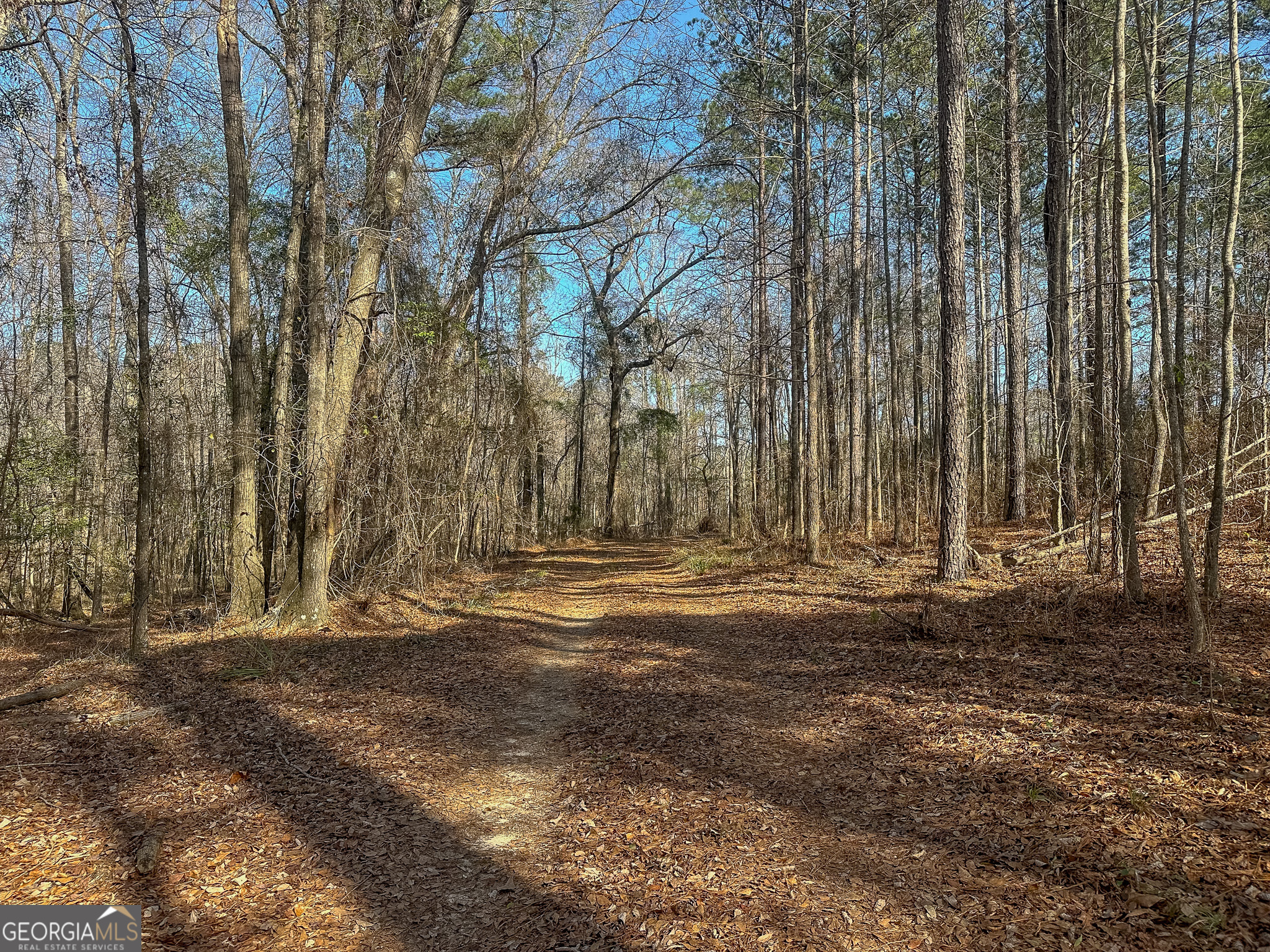 1298 Days Avenue Morris GA 39867