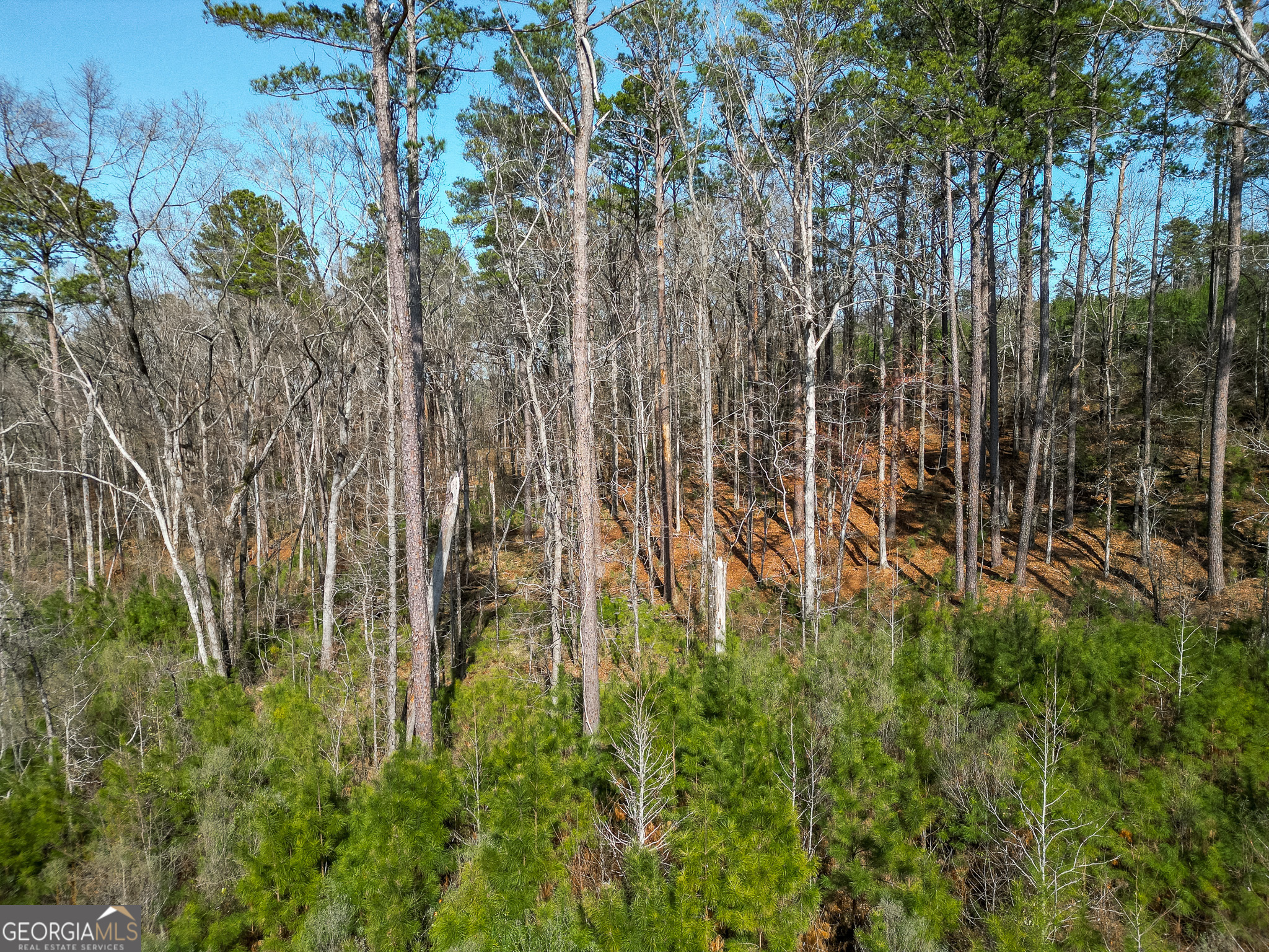 1298 Days Avenue Morris GA 39867