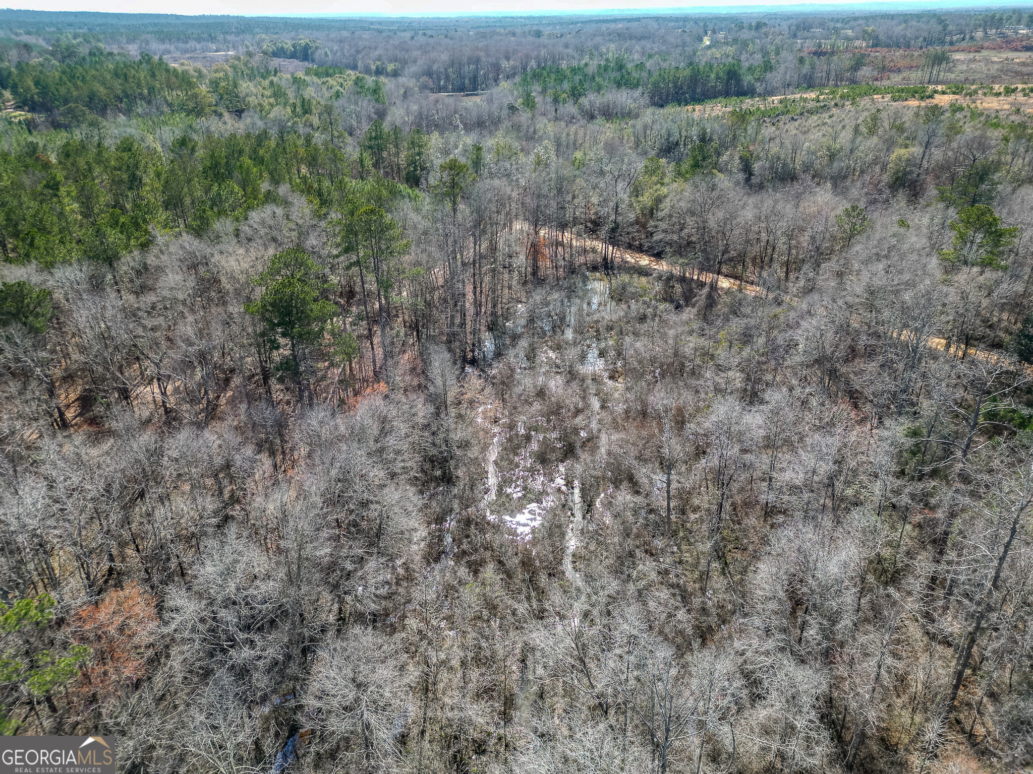 1298 Days Avenue Morris GA 39867