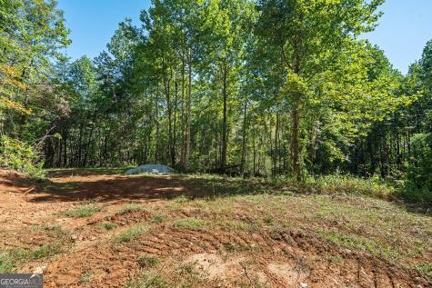 0 Old Highway 441 North Clayton GA 30525