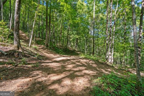 0 Old Highway 441 North Clayton GA 30525