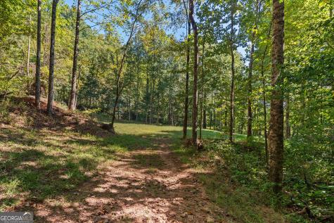 0 Old Highway 441 North Clayton GA 30525