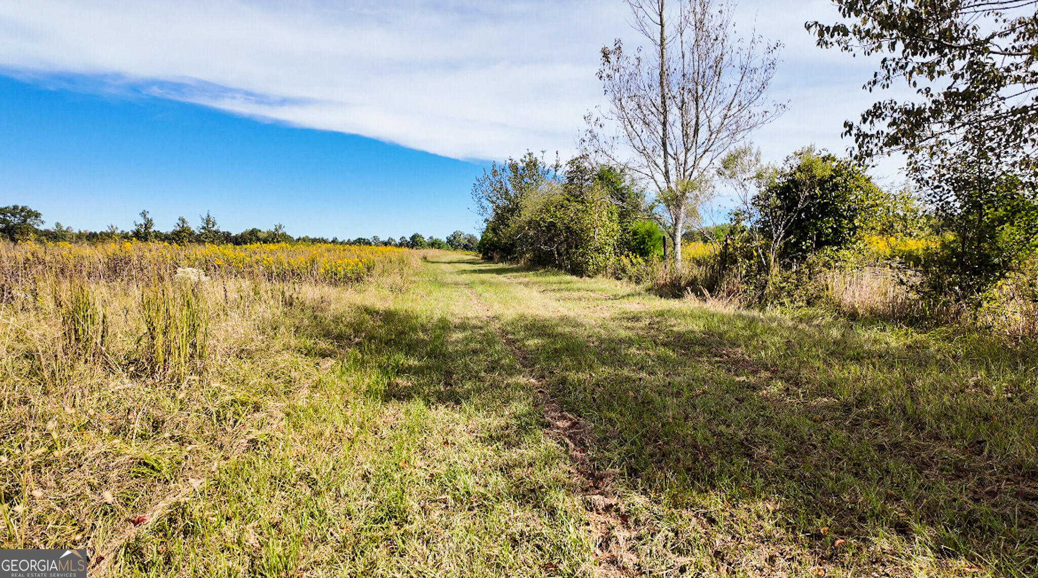 0 Pierce Road Waverly Hall GA 31831