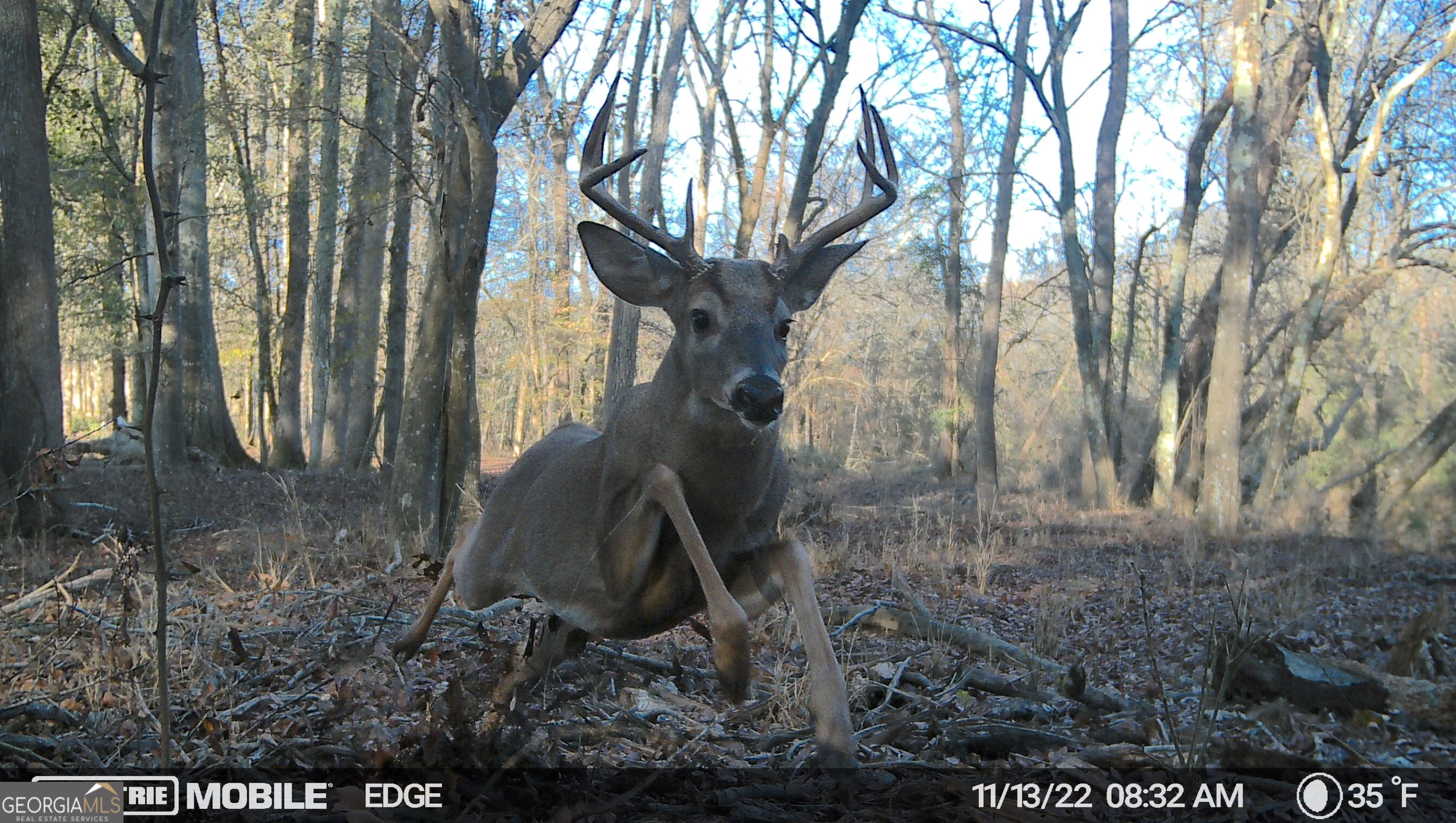 2018 Finch Drive Winder GA 30680