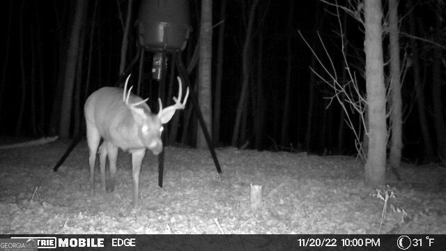 2018 Finch Drive Winder GA 30680