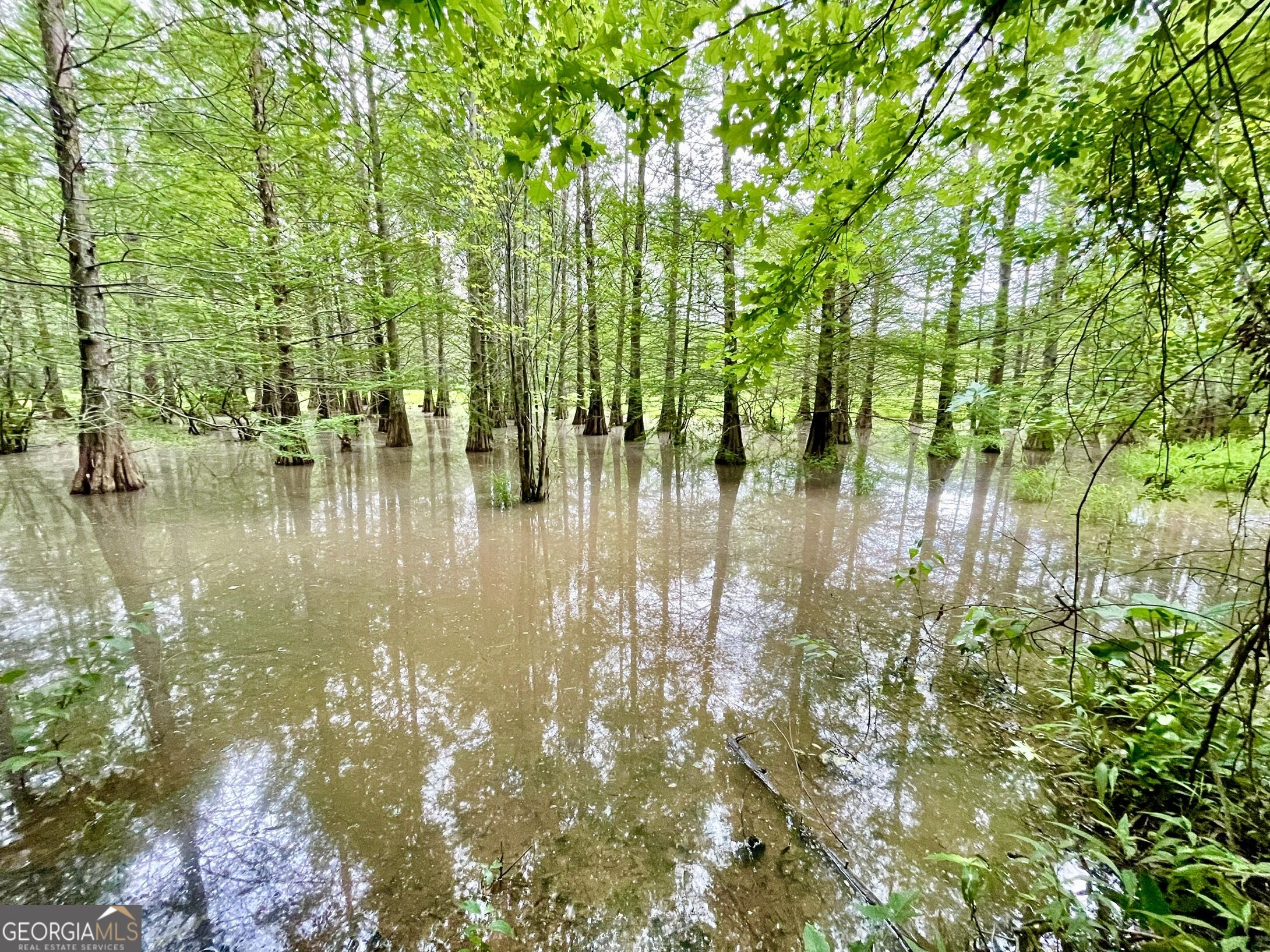 2018 Finch Drive Winder GA 30680