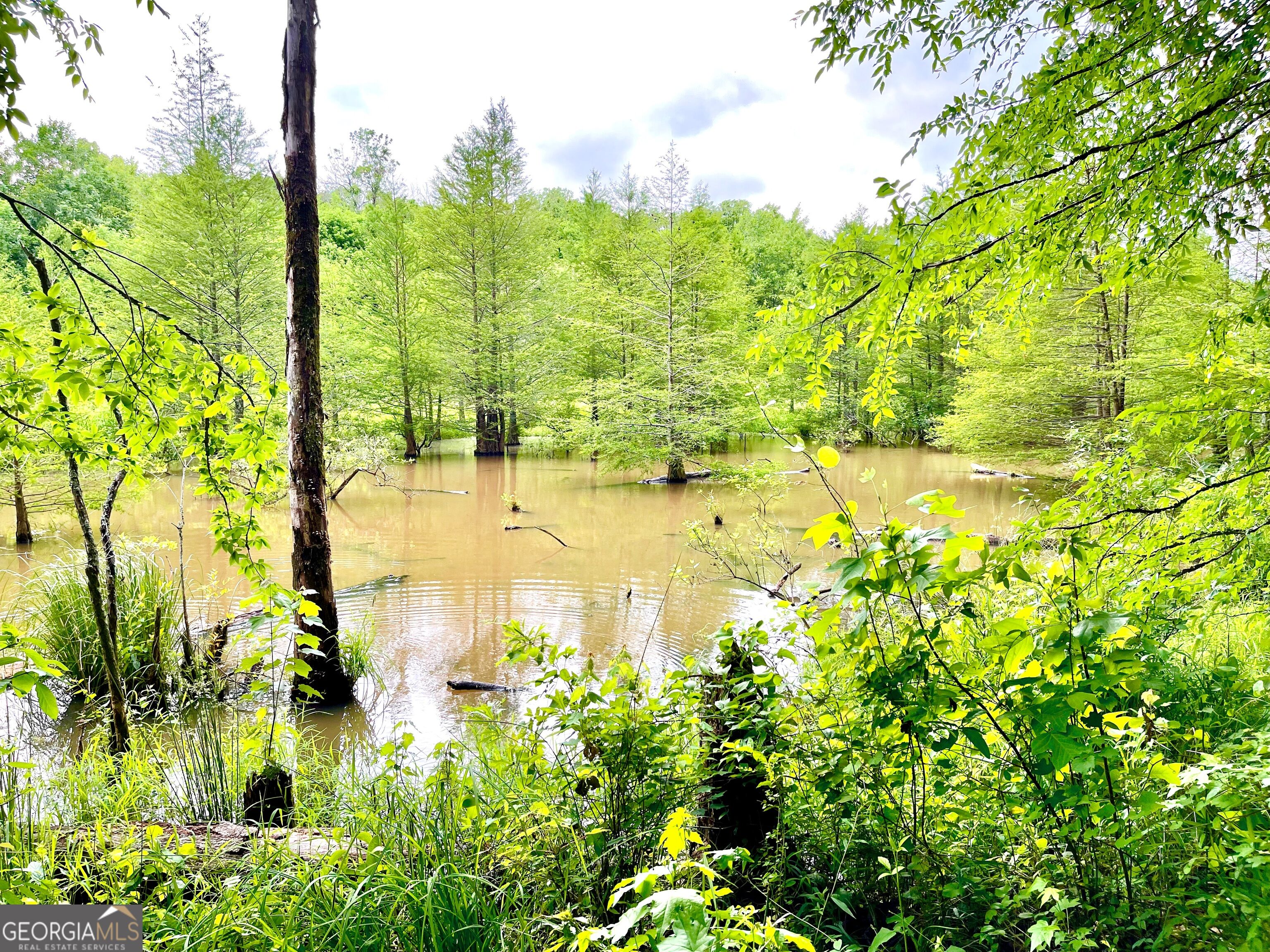 2018 Finch Drive Winder GA 30680