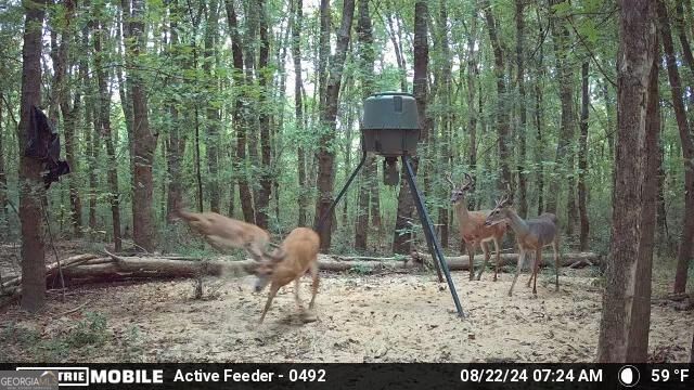 2018 Finch Drive Winder GA 30680