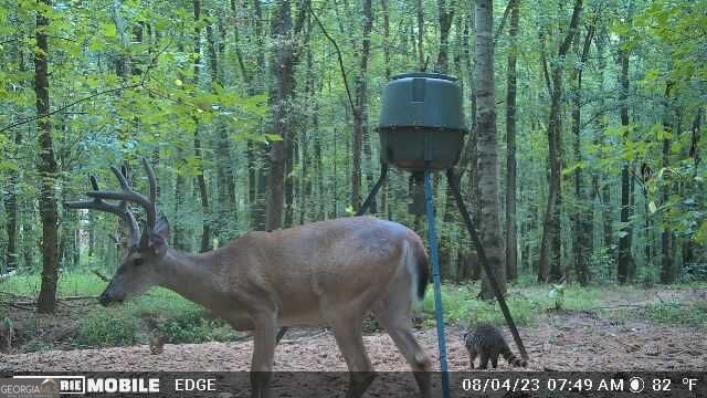 2018 Finch Drive Winder GA 30680