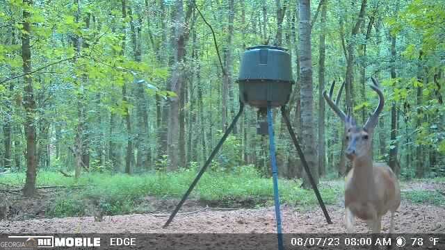 2018 Finch Drive Winder GA 30680