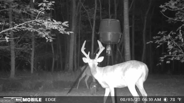 2018 Finch Drive Winder GA 30680