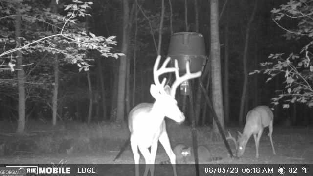 2018 Finch Drive Winder GA 30680