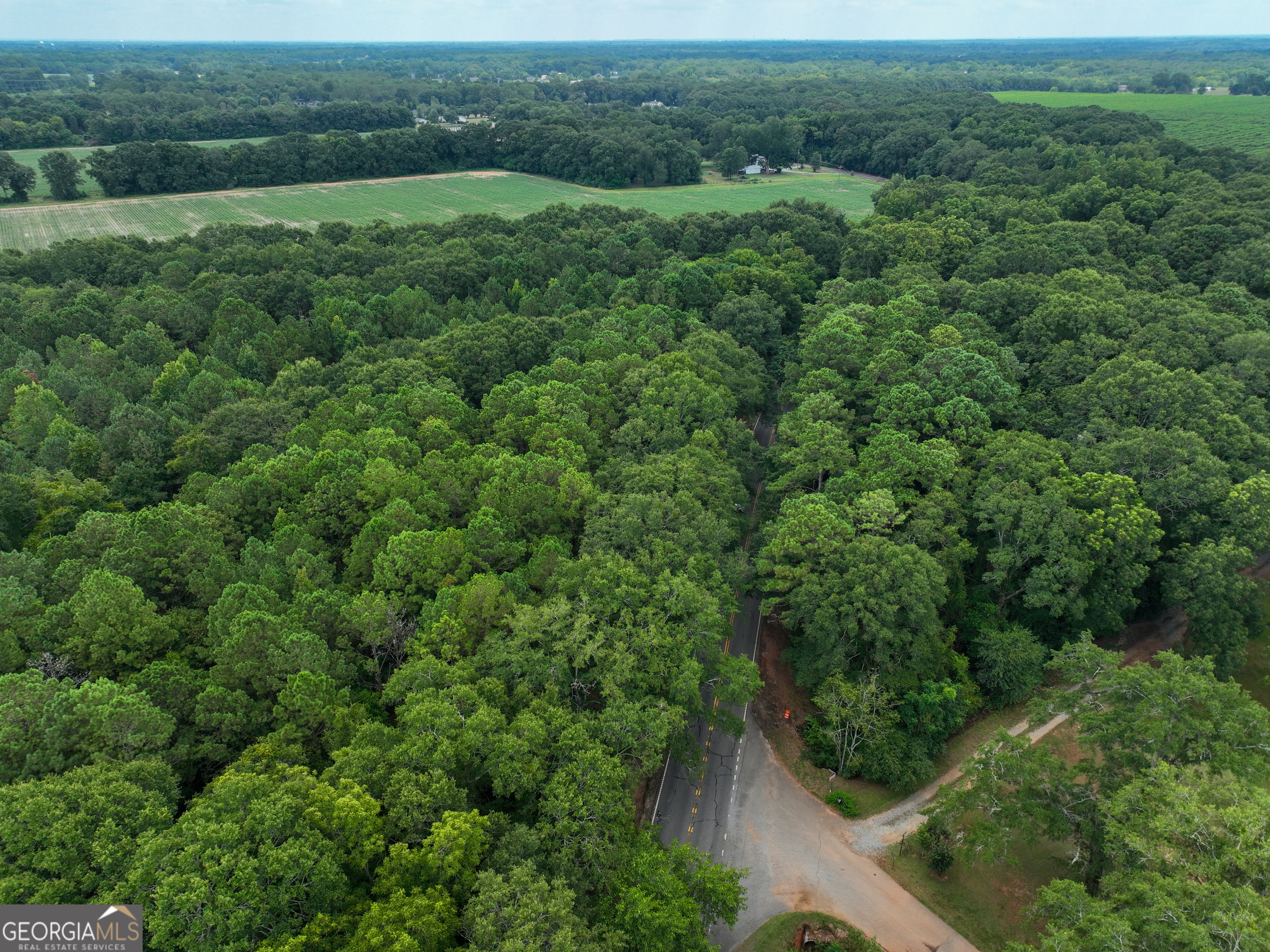 0 Highway 42 Byron GA 31008