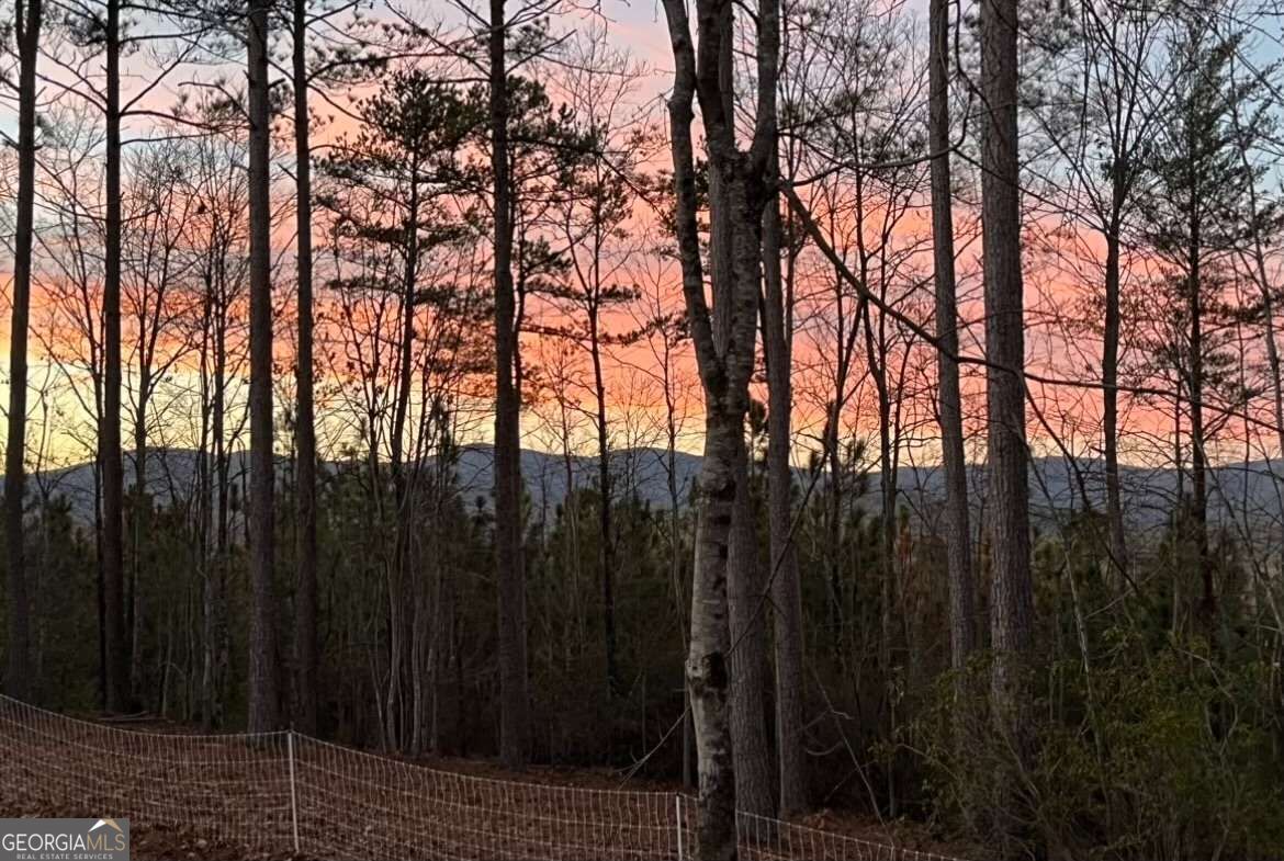 Lot 2 Highway 52 W Dahlonega GA 30533