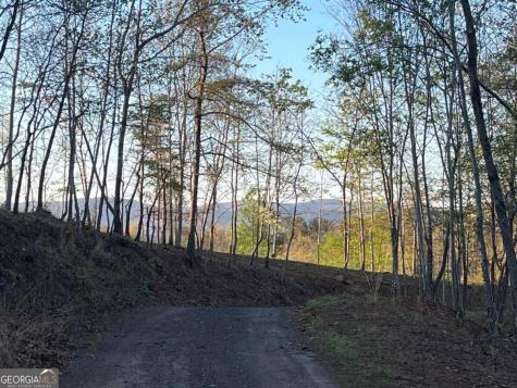 Lot 2 Highway 52 W Dahlonega GA 30533