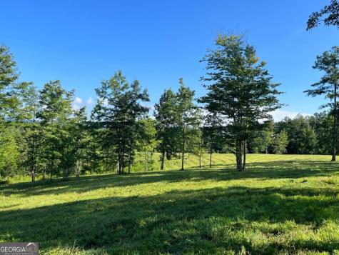 Lot 2 Highway 52 W Dahlonega GA 30533