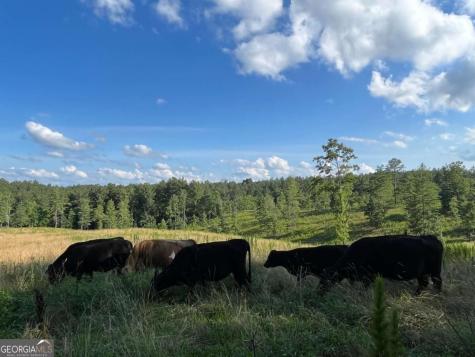 Lot 2 Highway 52 W Dahlonega GA 30533