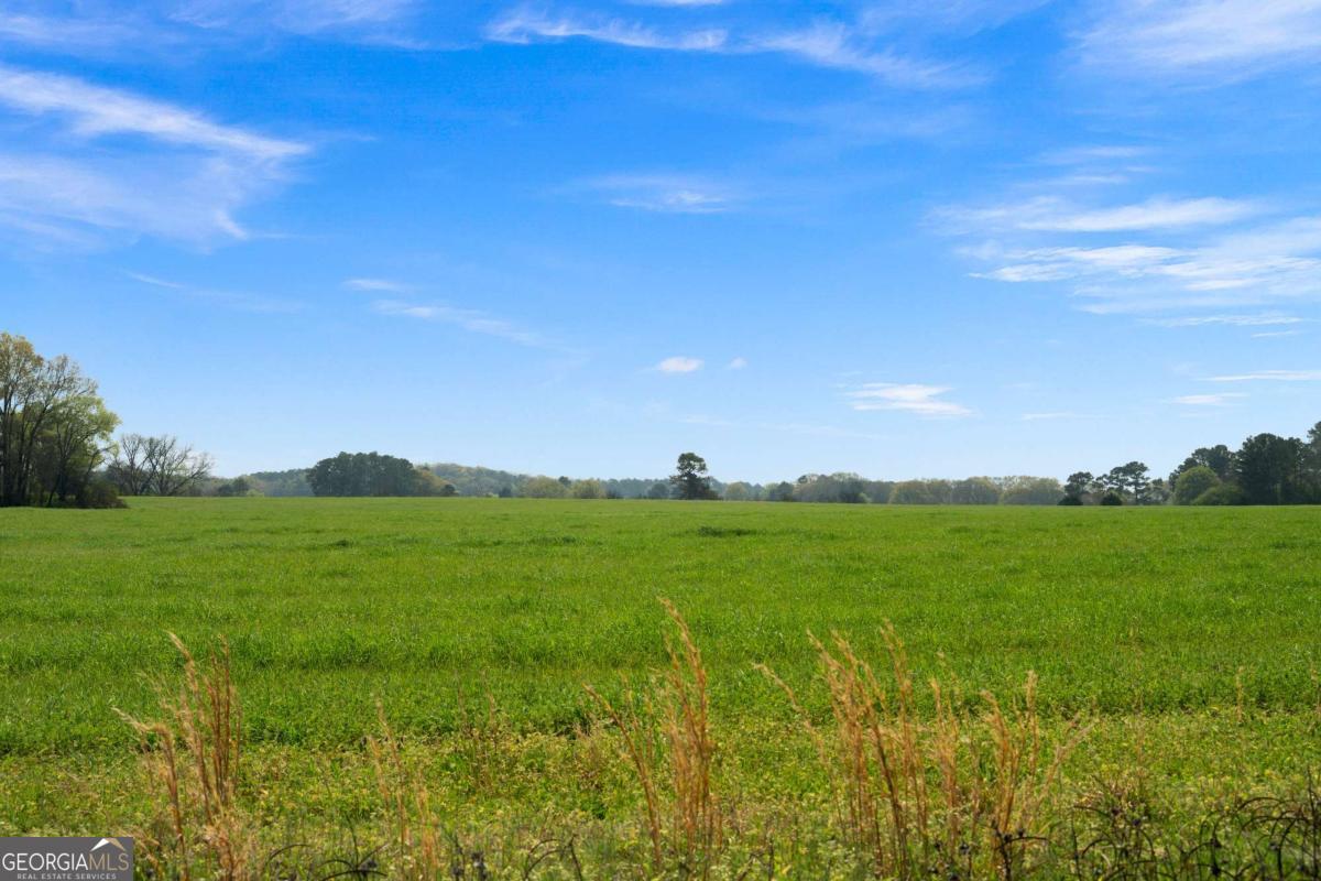 0 Taylorsville Macedonia / Miller Farm Road Taylorsville GA 30178