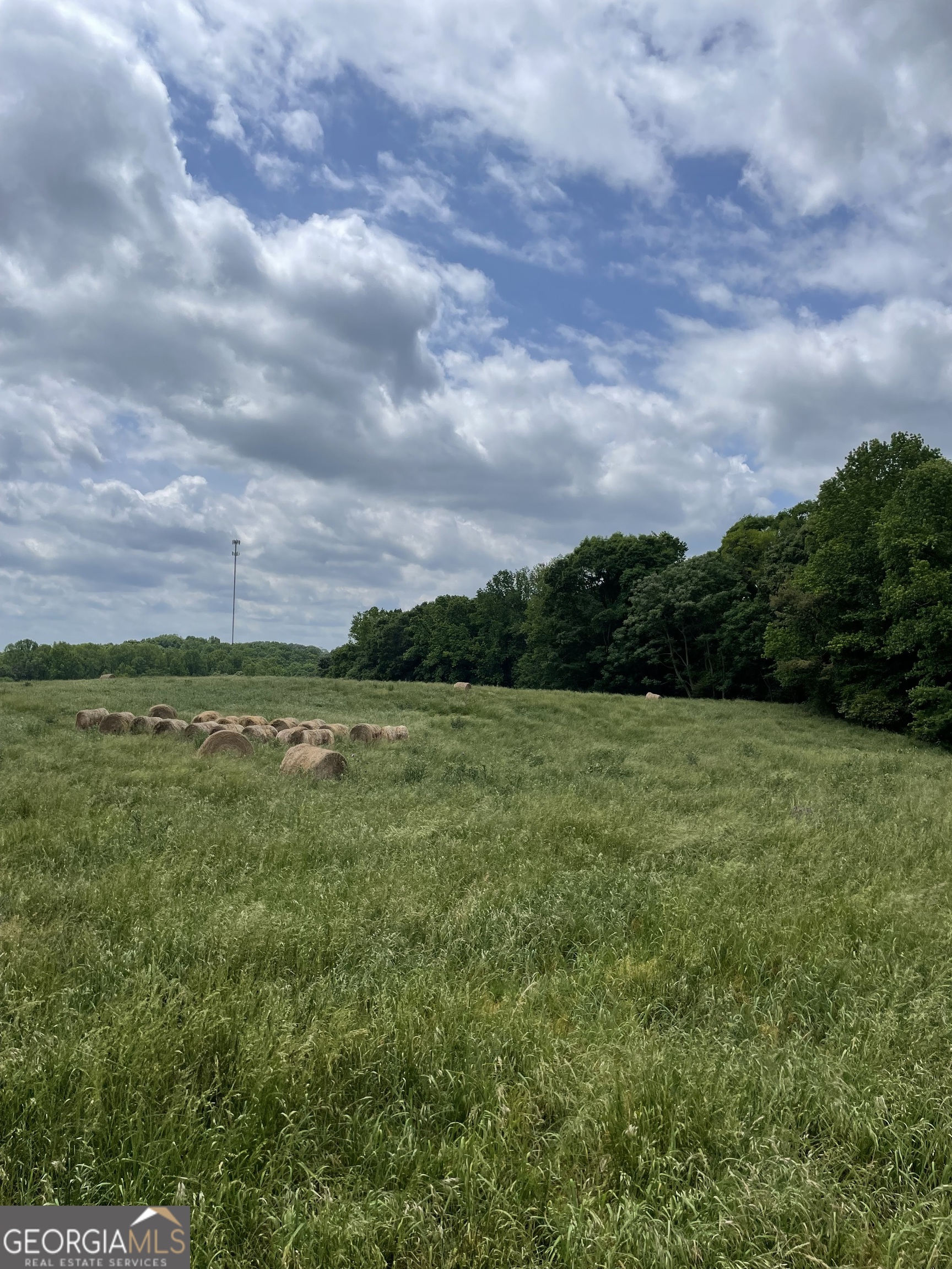0 Quail Run Road Royston GA 30662