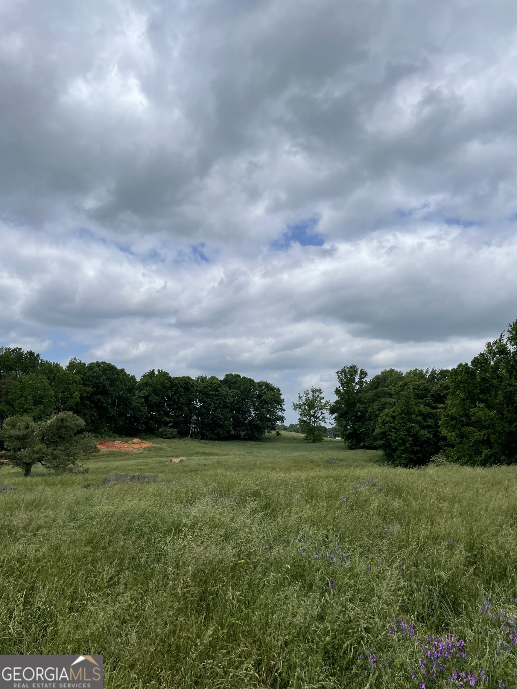 0 Quail Run Road Royston GA 30662