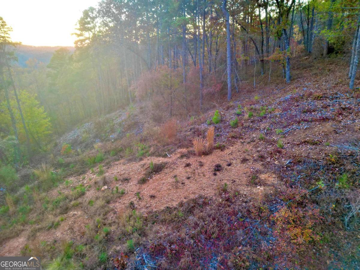 0 Canoe Way Talking Rock GA 30175