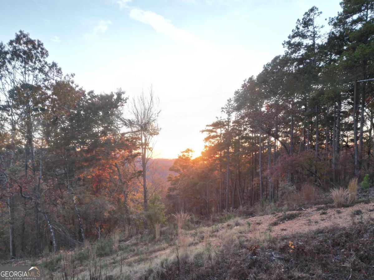0 Canoe Way Talking Rock GA 30175